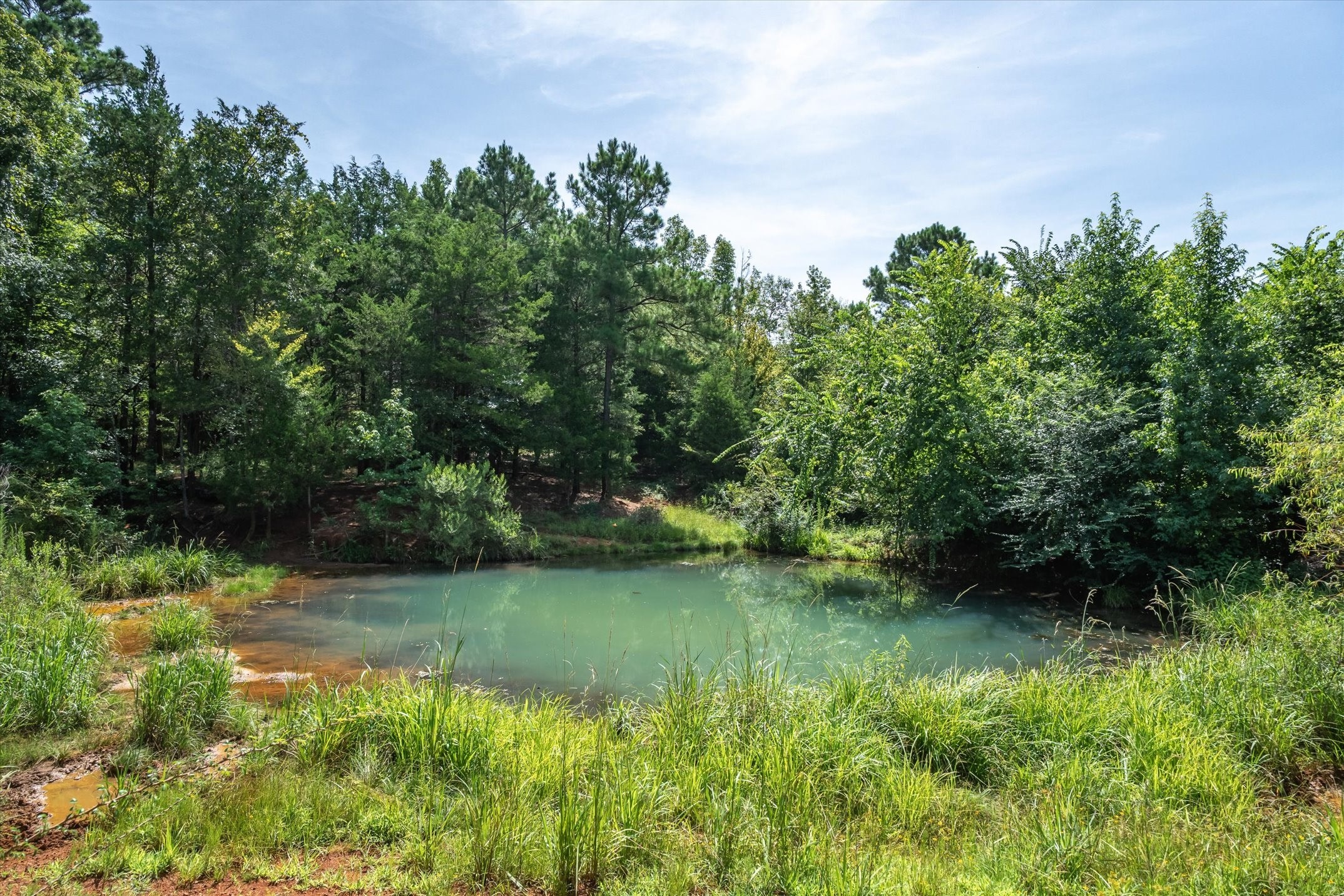 00 County Road 4501 Jacksonville TX 75766