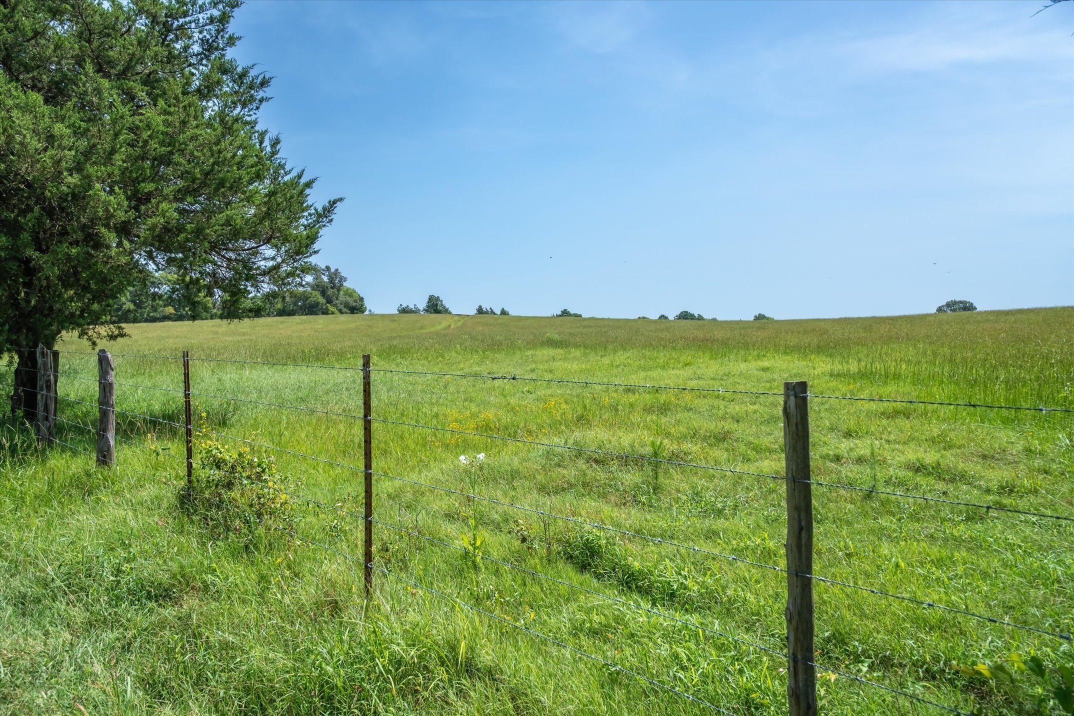 00 County Road 4501 Jacksonville TX 75766