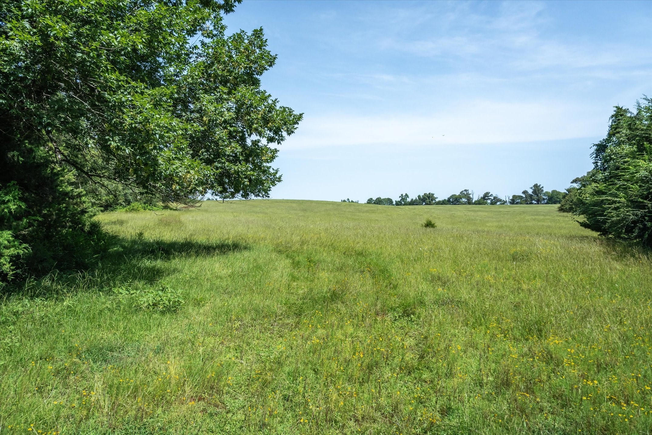00 County Road 4501 Jacksonville TX 75766