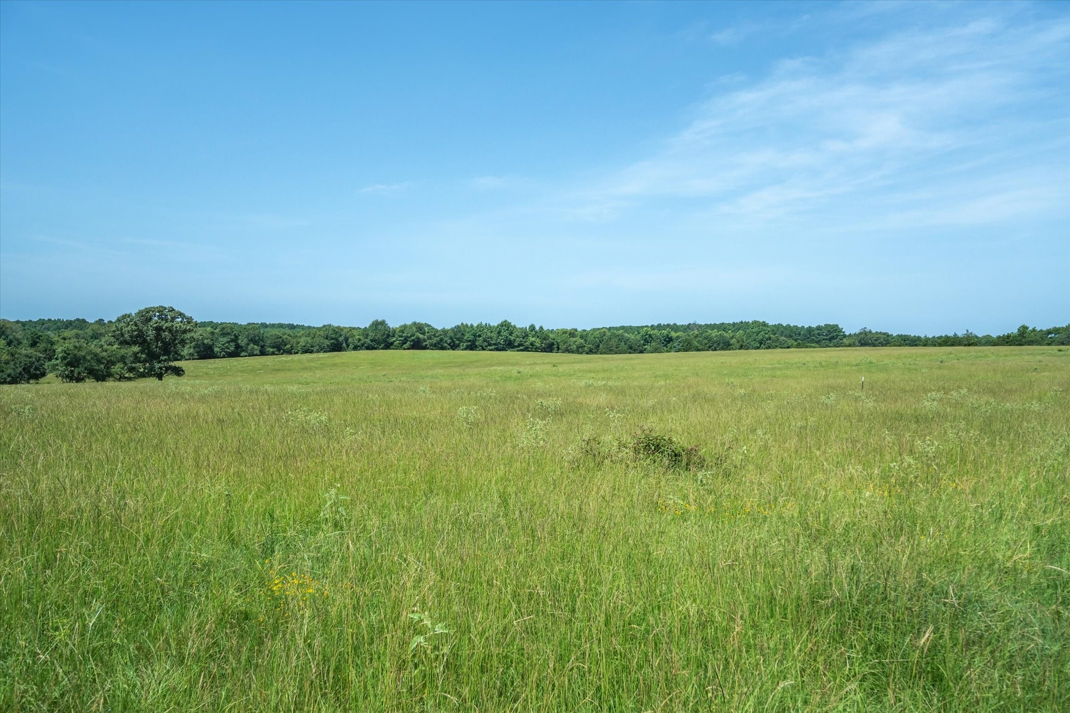 00 County Road 4501 Jacksonville TX 75766