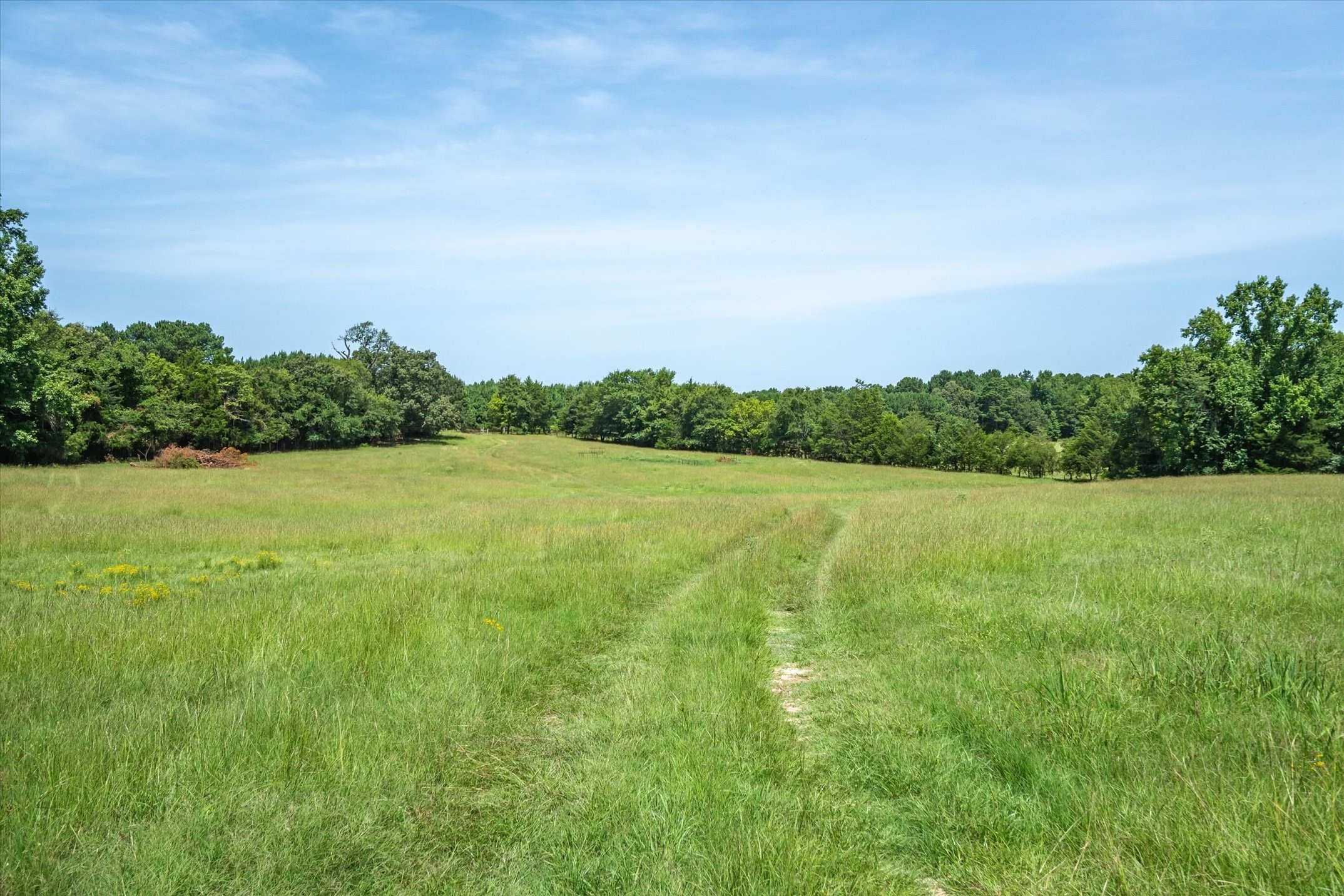 00 County Road 4501 Jacksonville TX 75766