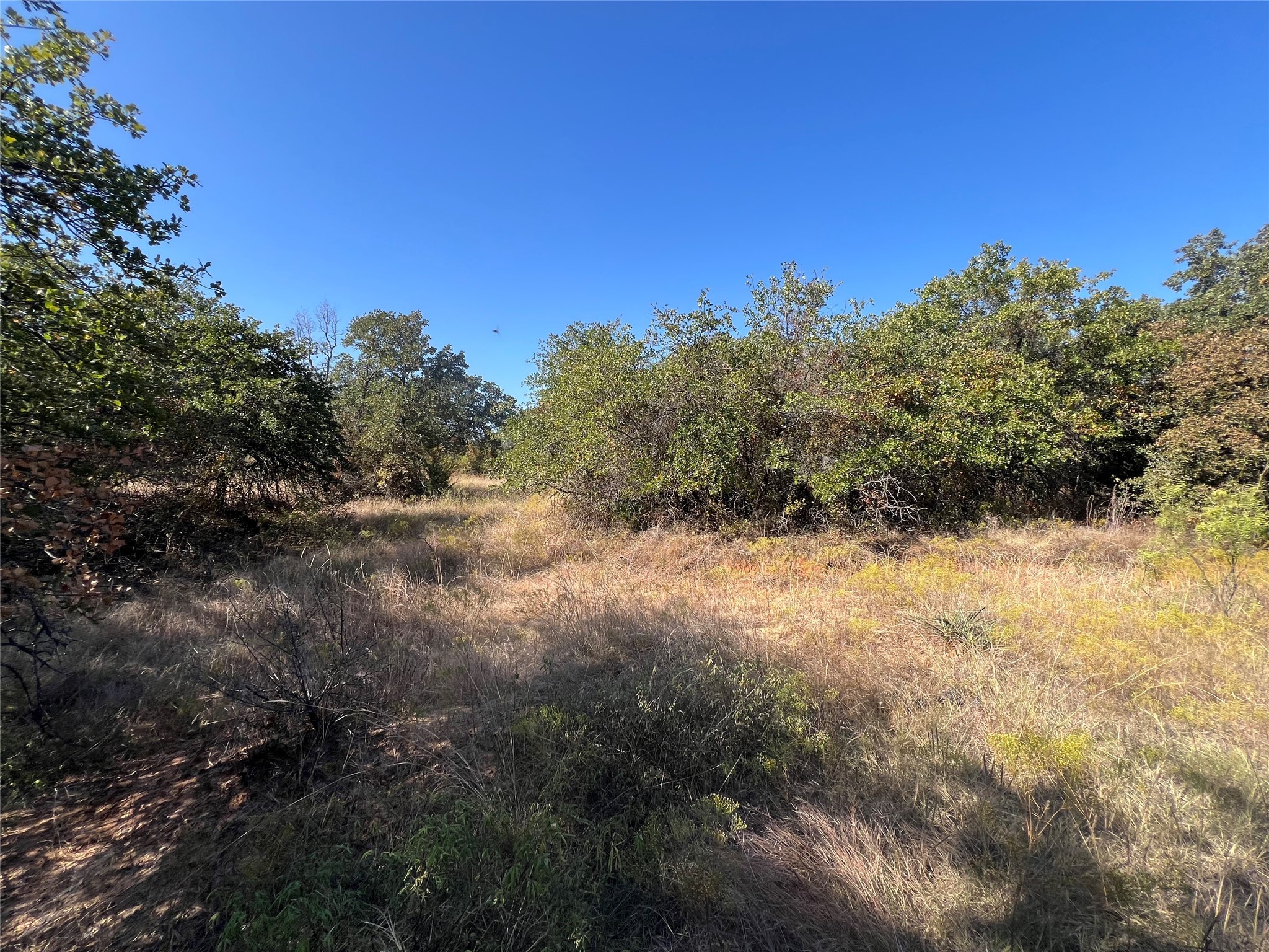 Tbd Wild Hill Oak Drive Springtown TX 76082