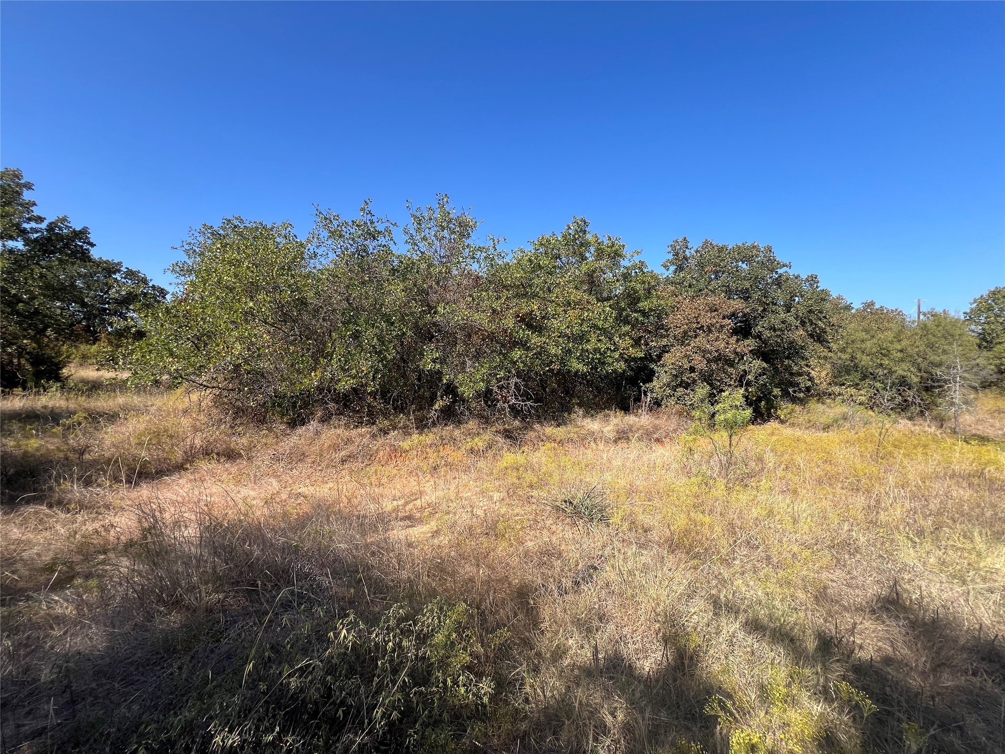 Tbd Wild Hill Oak Drive Springtown TX 76082