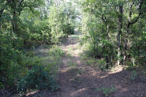 4996 State Highway 16 S Graham TX 76450