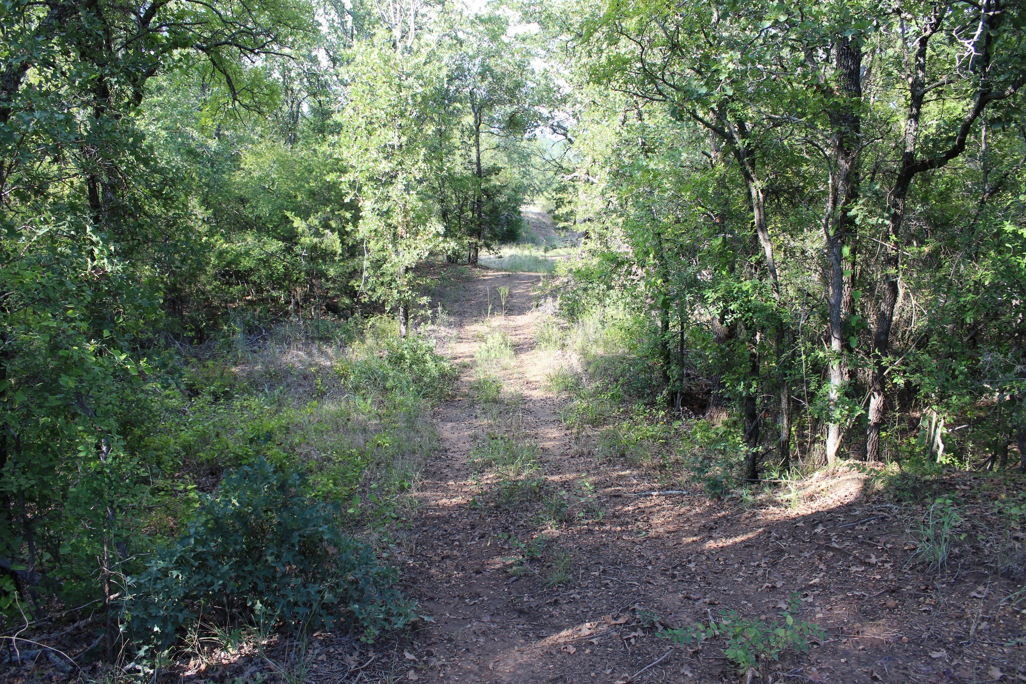 4996 State Highway 16 S Graham TX 76450