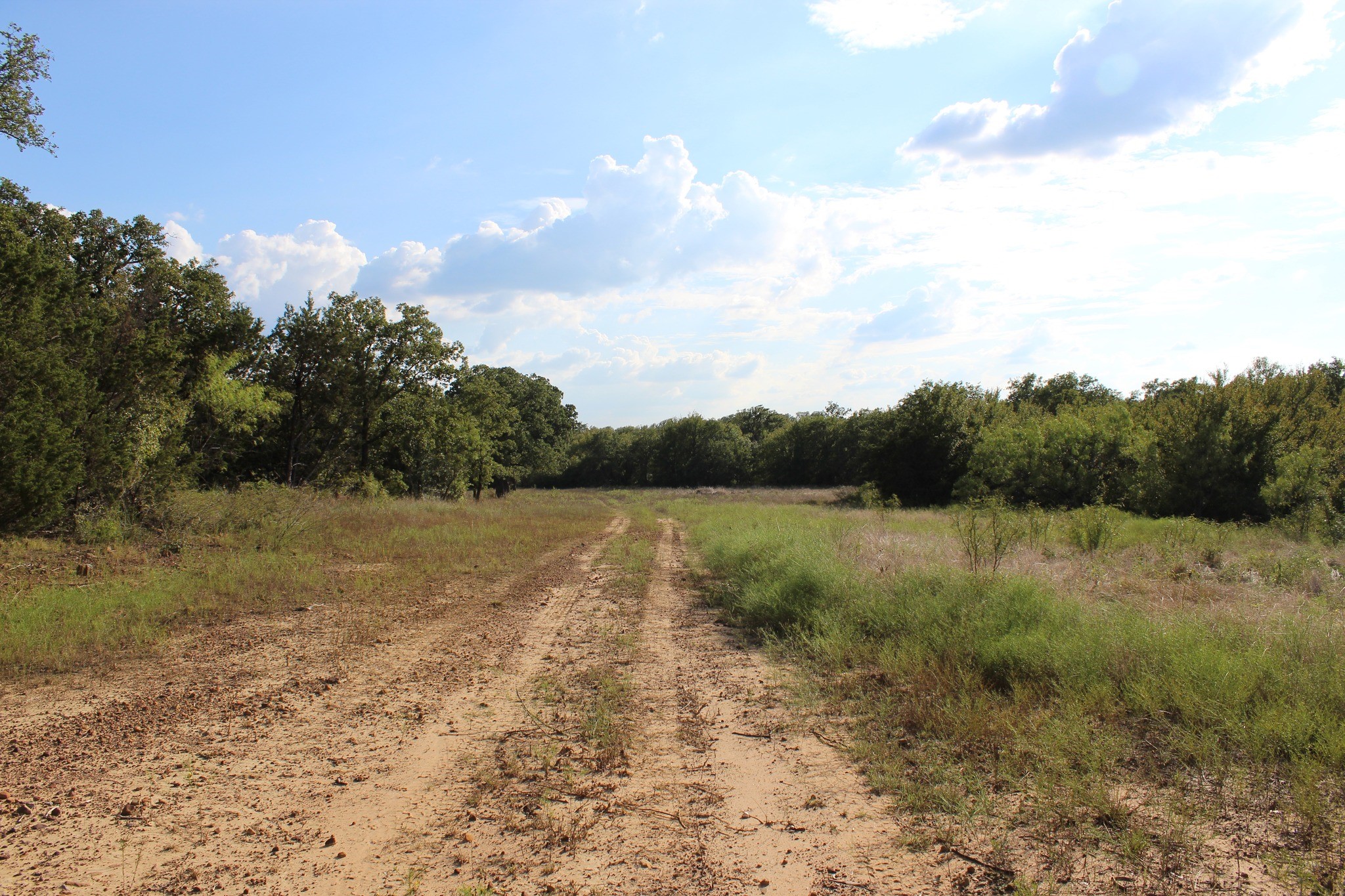 4996 State Highway 16 S Graham TX 76450