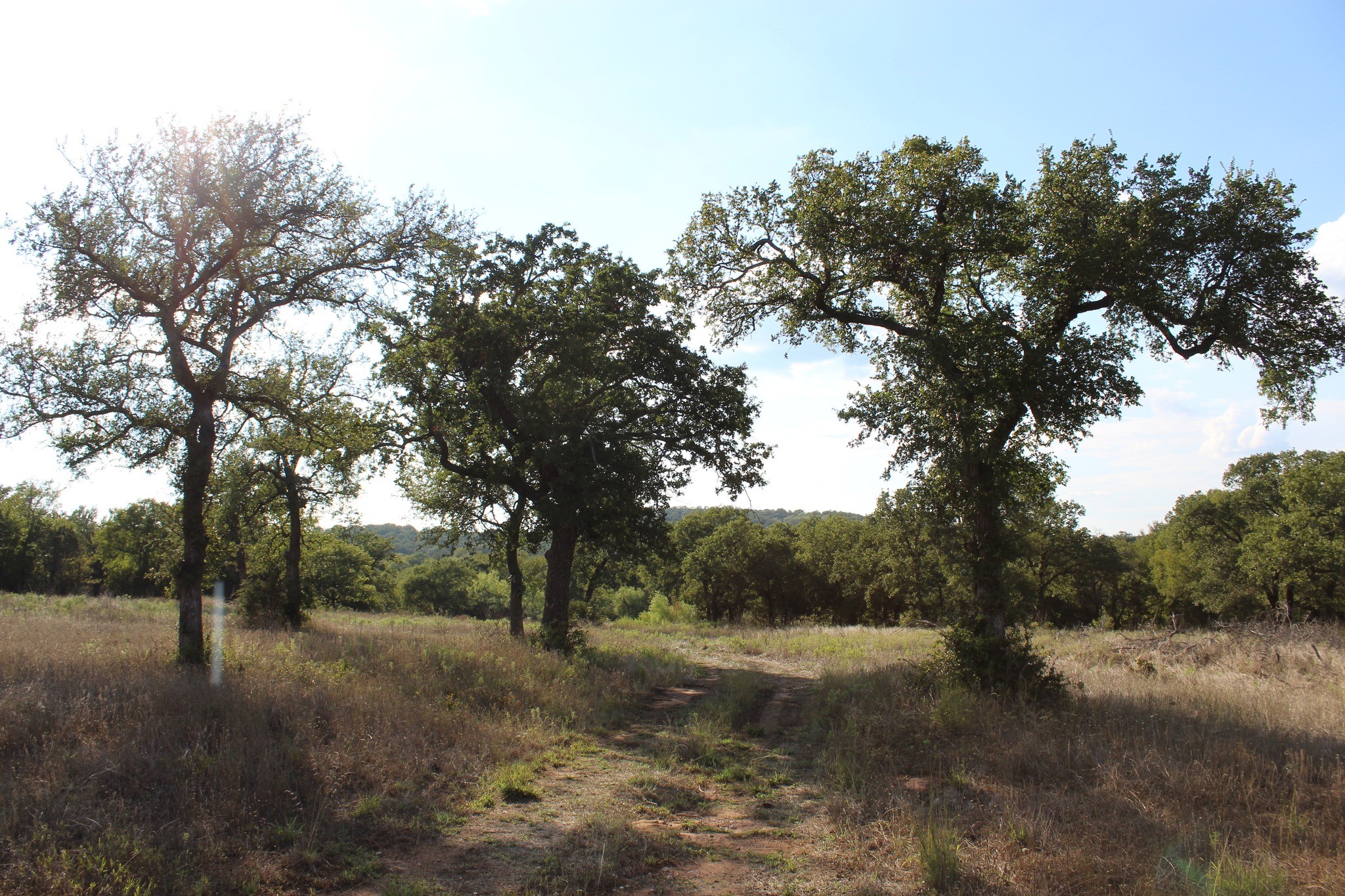 4996 State Highway 16 S Graham TX 76450