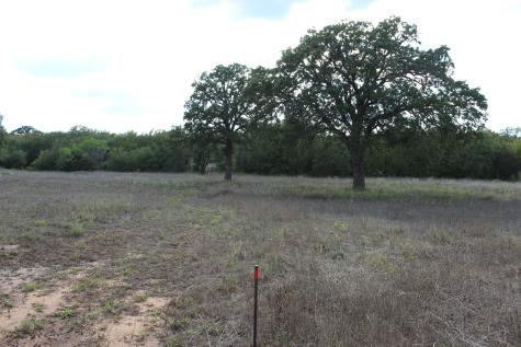4996 State Highway 16 S Graham TX 76450