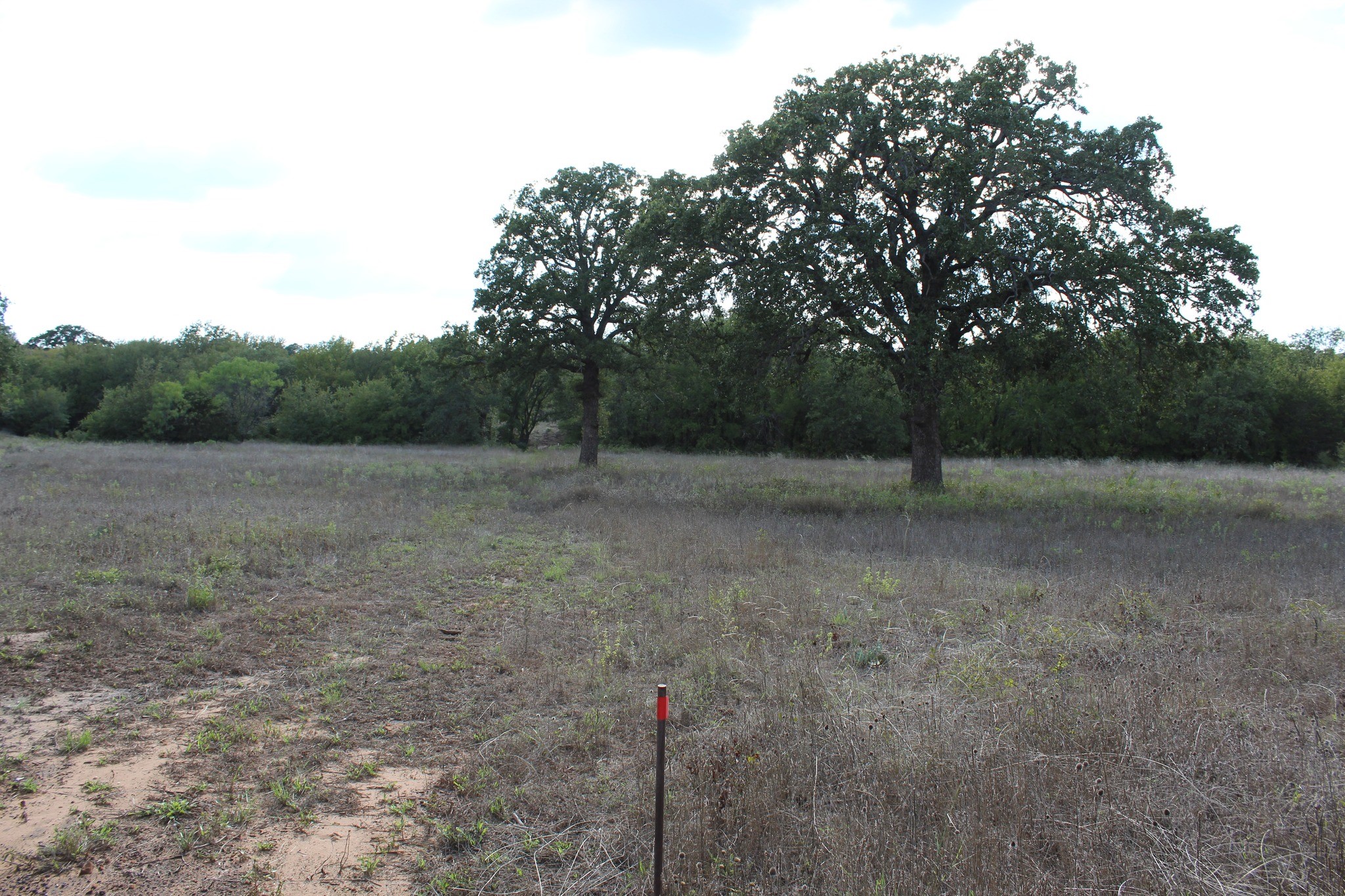 4996 State Highway 16 S Graham TX 76450