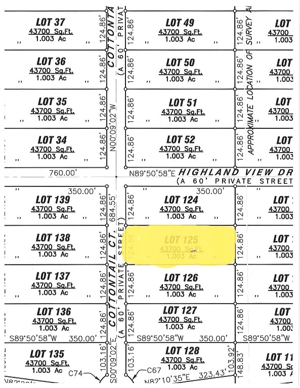 6005 Cotton Tail Court Springtown TX 76082