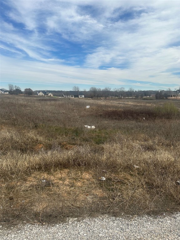 6005 Cotton Tail Court Springtown TX 76082