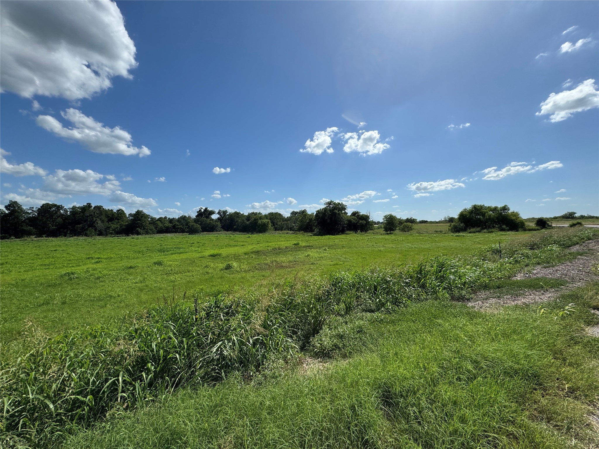 Tbd Tract #7 E Travis Holland TX 76534
