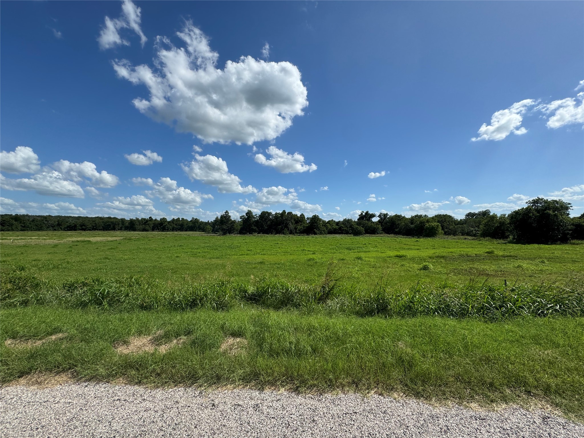 Tbd Tract #7 E Travis Holland TX 76534
