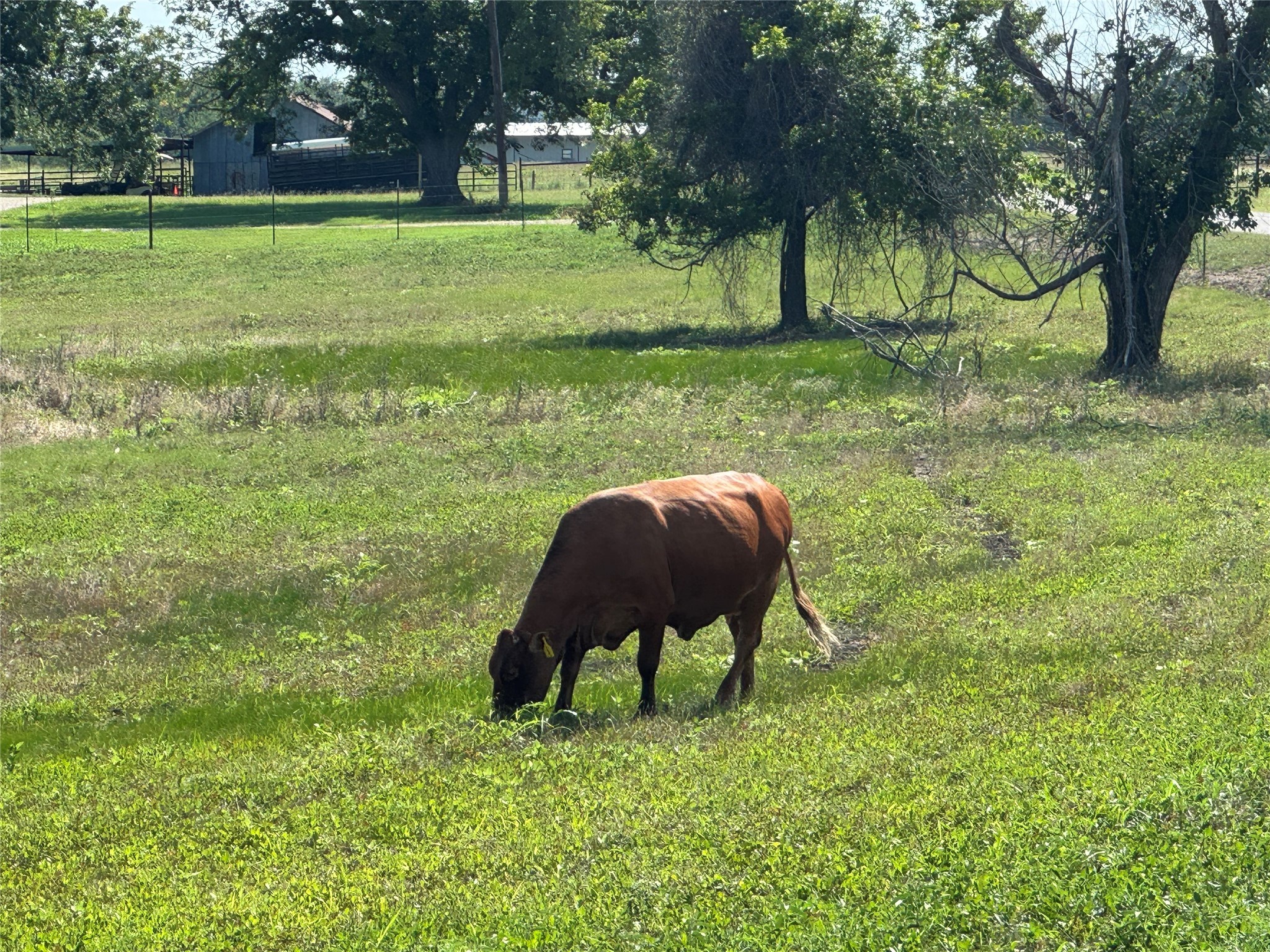 Tbd Tract #7 E Travis Holland TX 76534