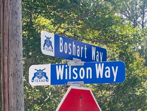 132 Wilson Way Gun Barrel City TX 75156