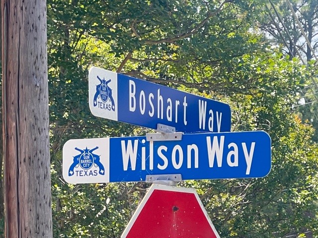 132 Wilson Way Gun Barrel City TX 75156