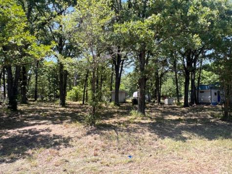 132 Wilson Way Gun Barrel City TX 75156