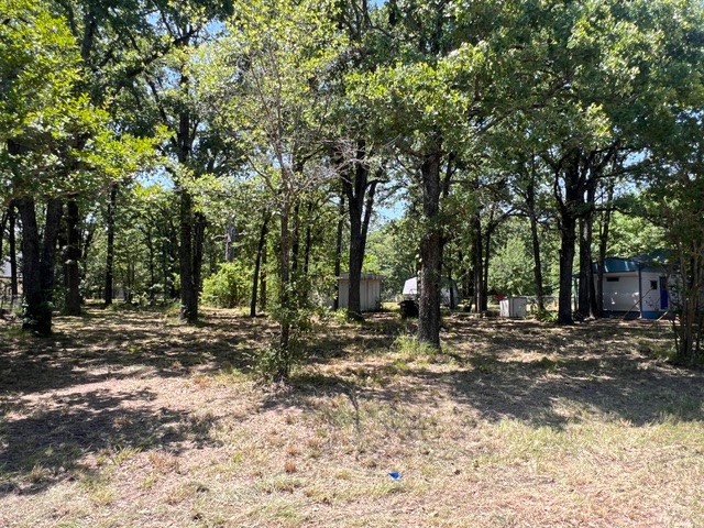 132 Wilson Way Gun Barrel City TX 75156
