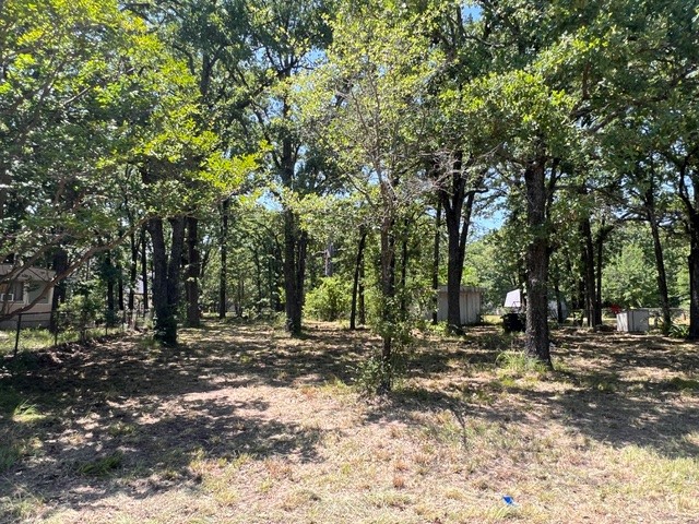 132 Wilson Way Gun Barrel City TX 75156