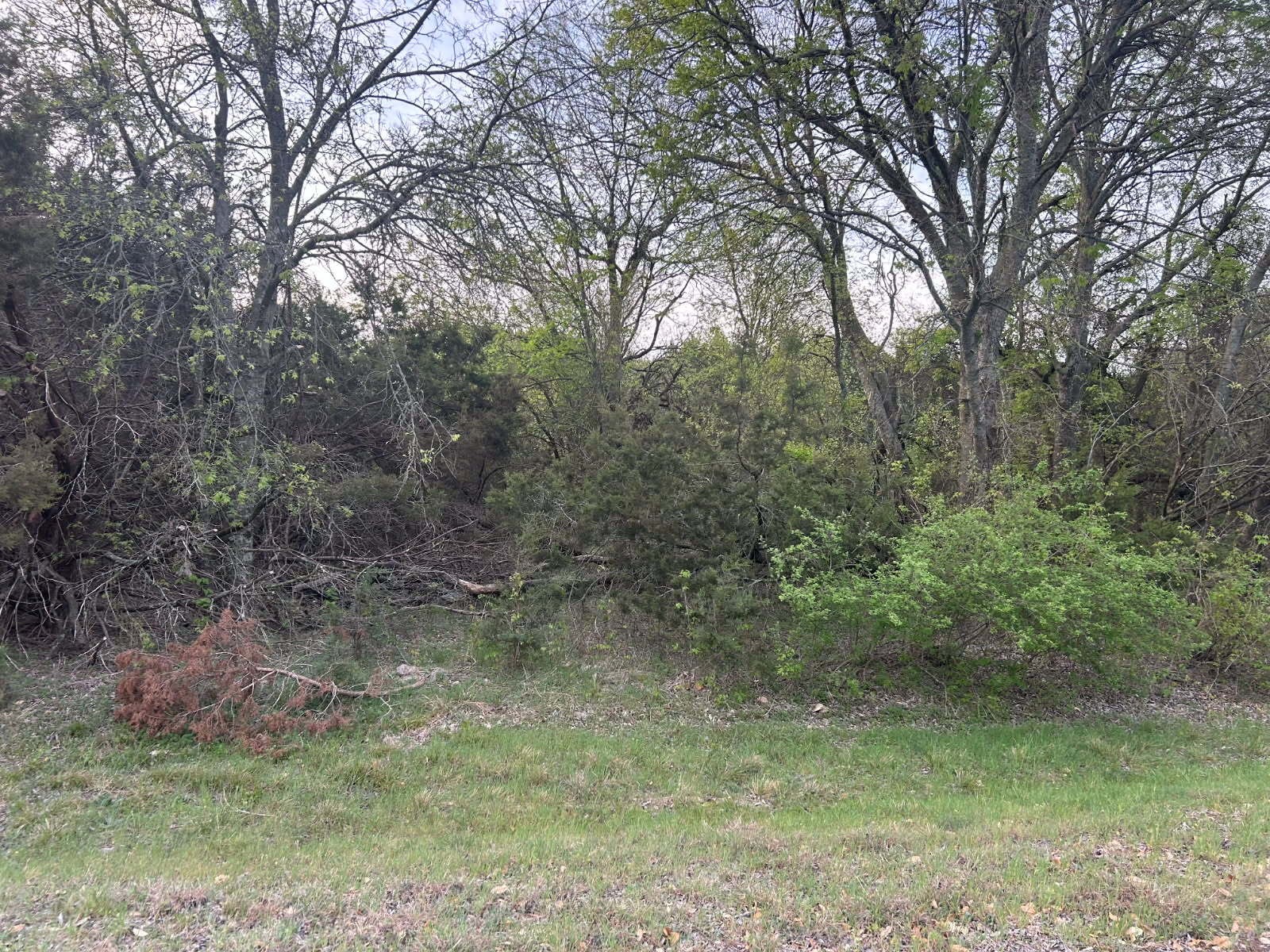 574 County Road 1743 Clifton TX 76634