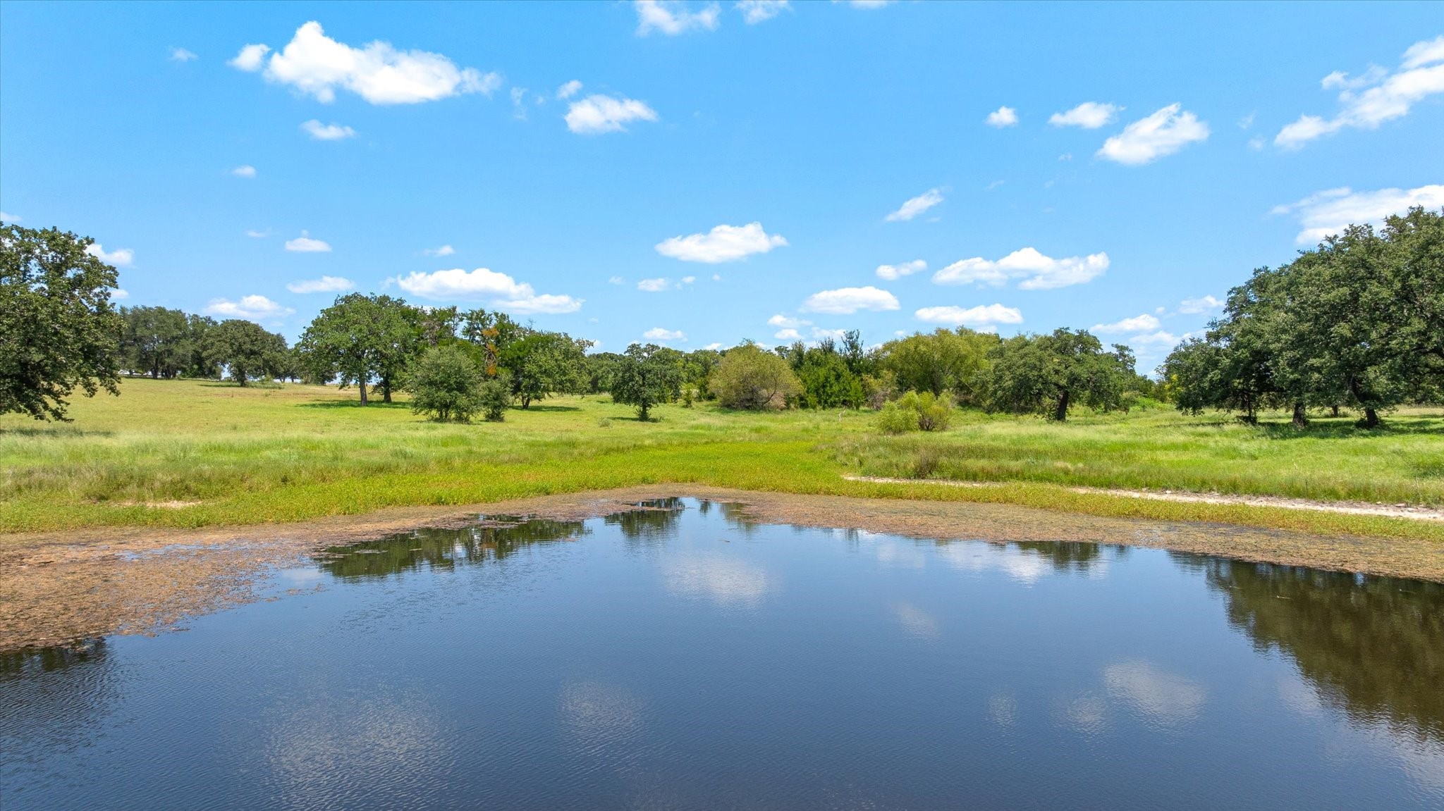 1005 Sanctuary Drive Tolar TX 76476