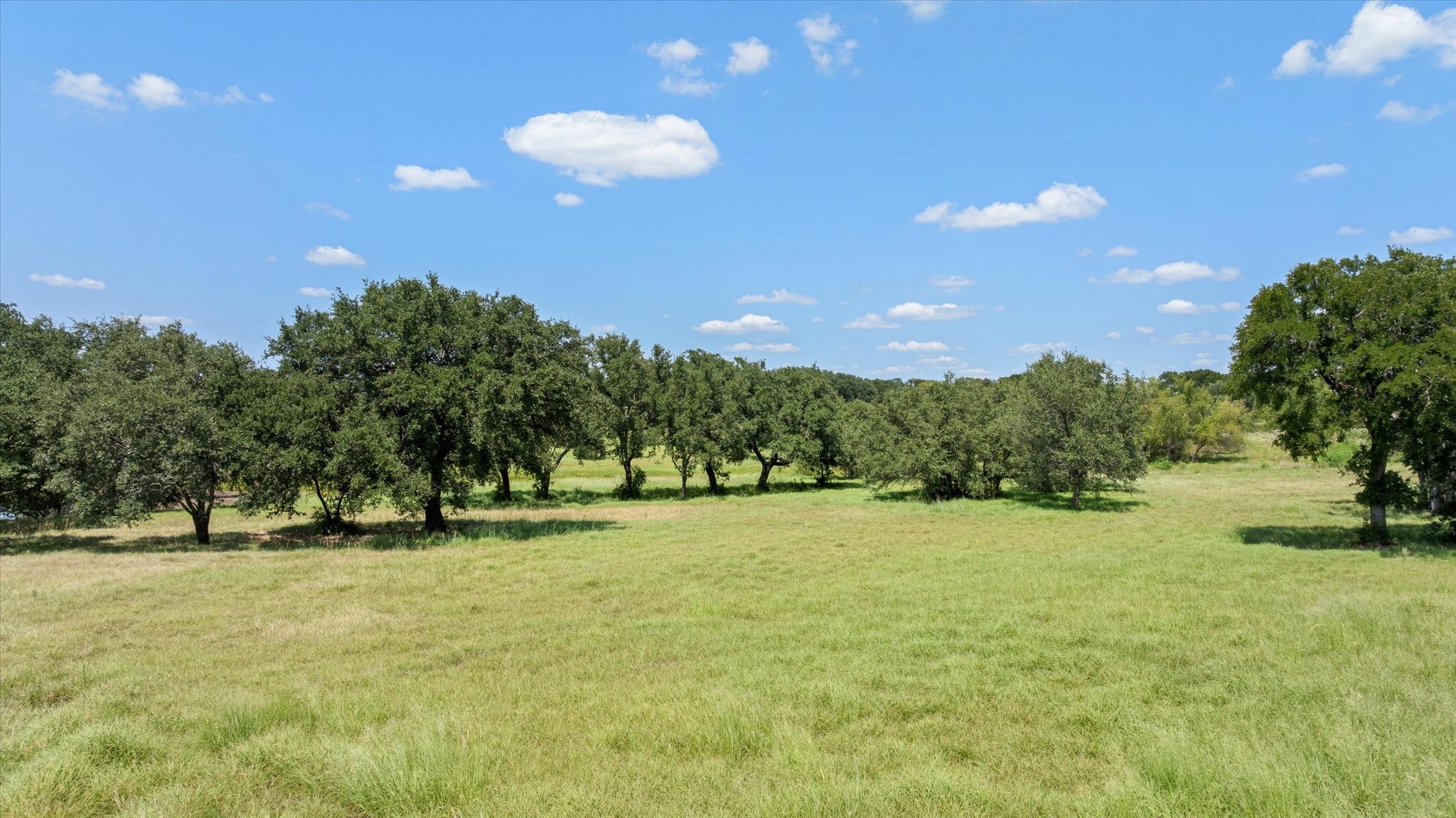 1005 Sanctuary Drive Tolar TX 76476