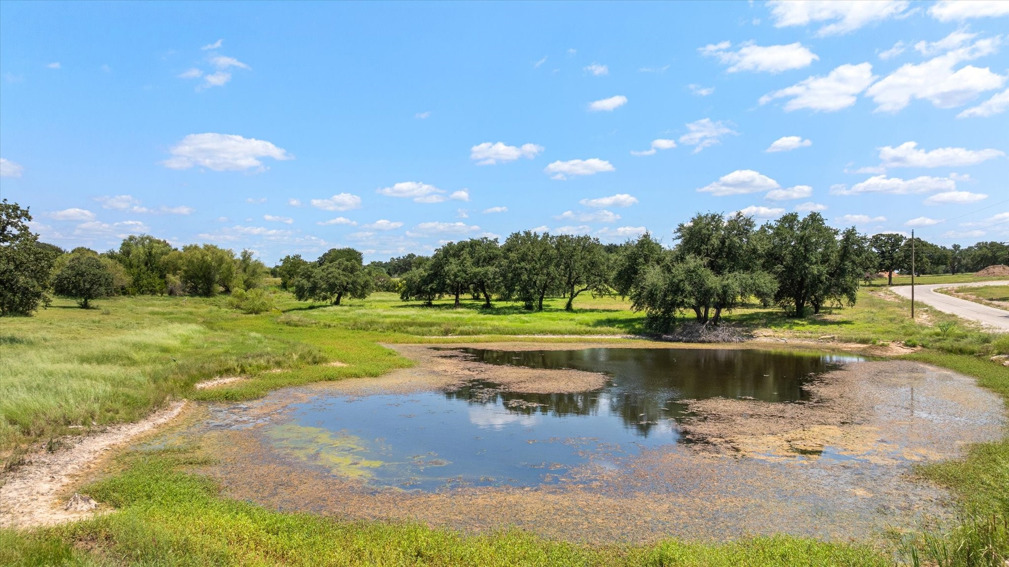 1005 Sanctuary Drive Tolar TX 76476