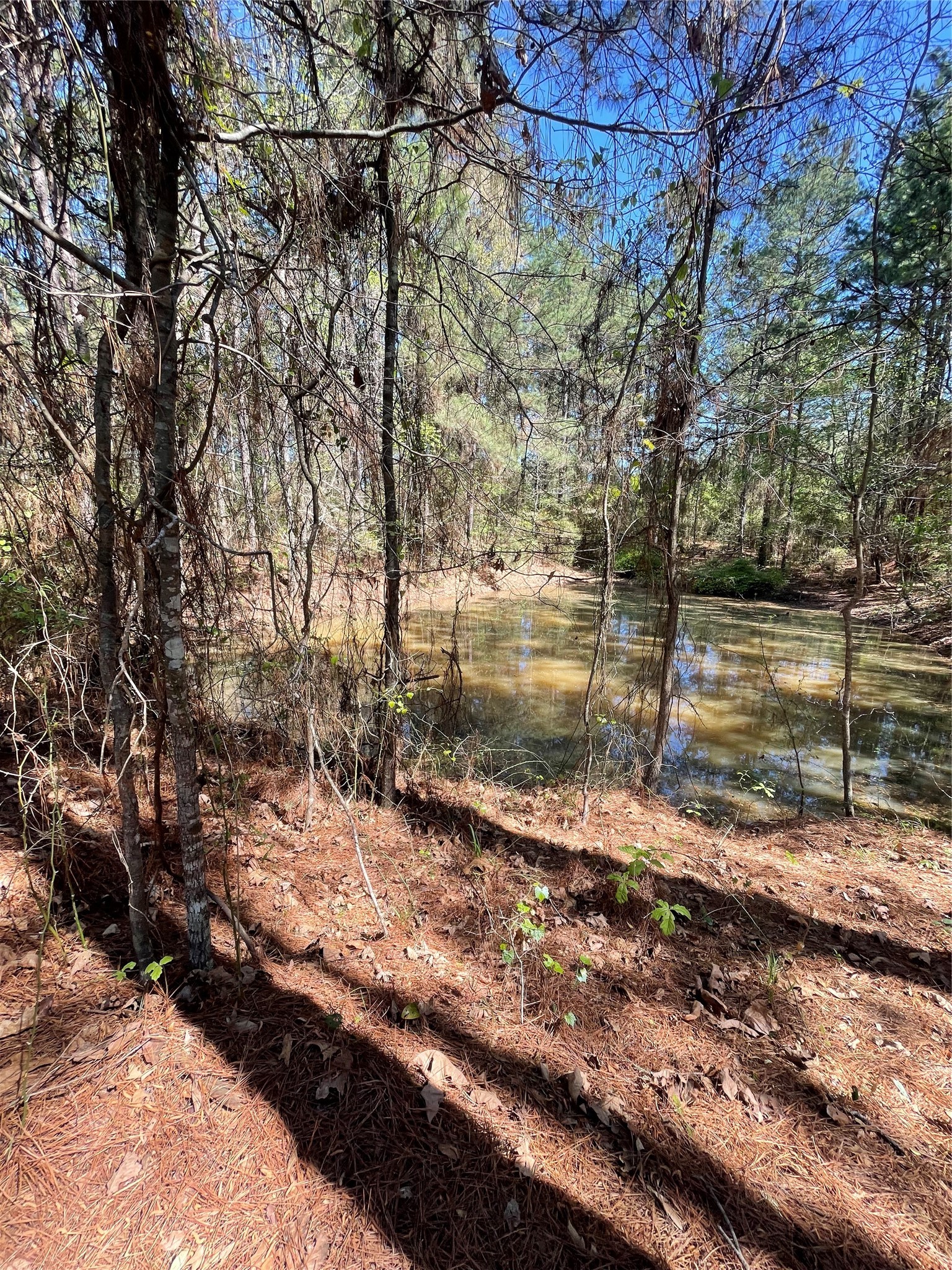 0 Providence Private Lane Frierson LA 71027