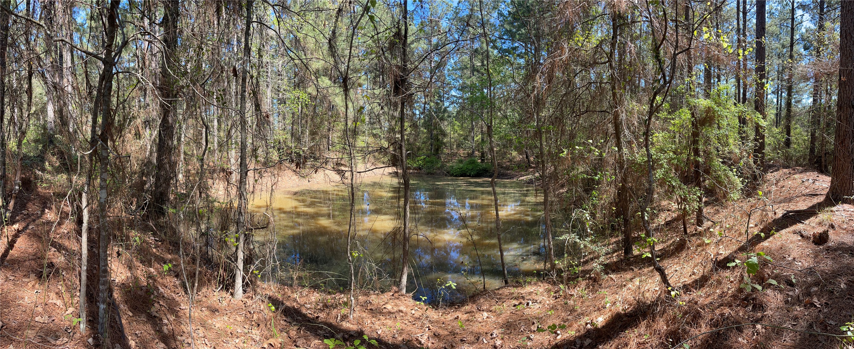 0 Providence Private Lane Frierson LA 71027