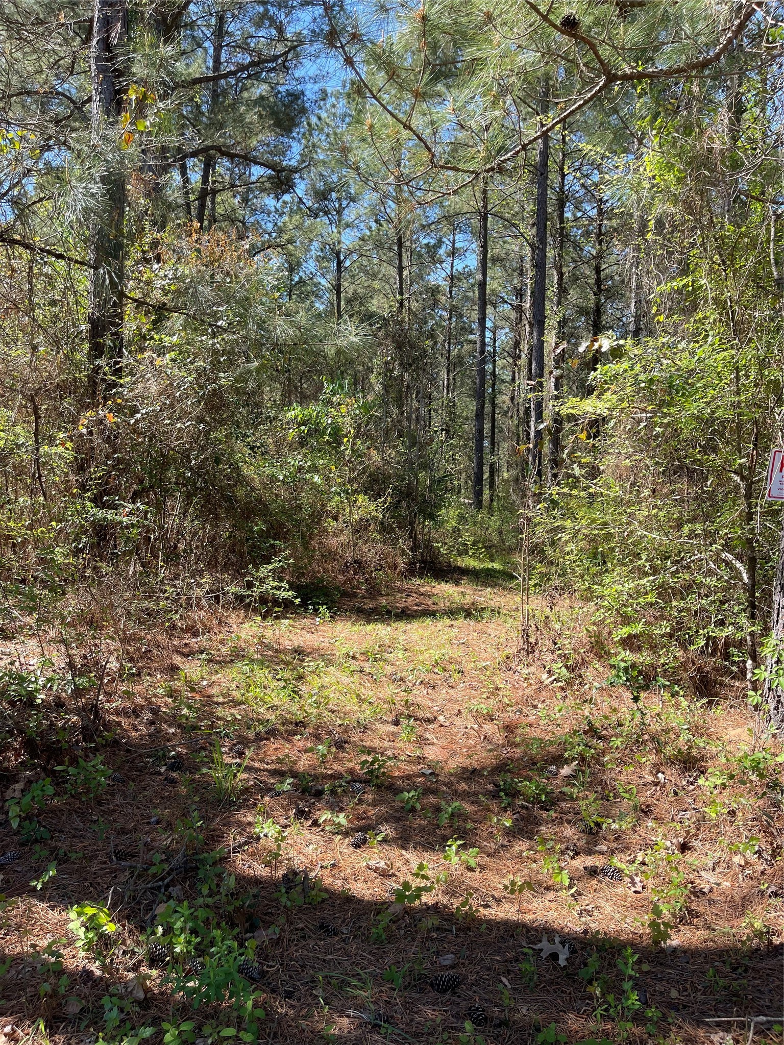 0 Providence Private Lane Frierson LA 71027