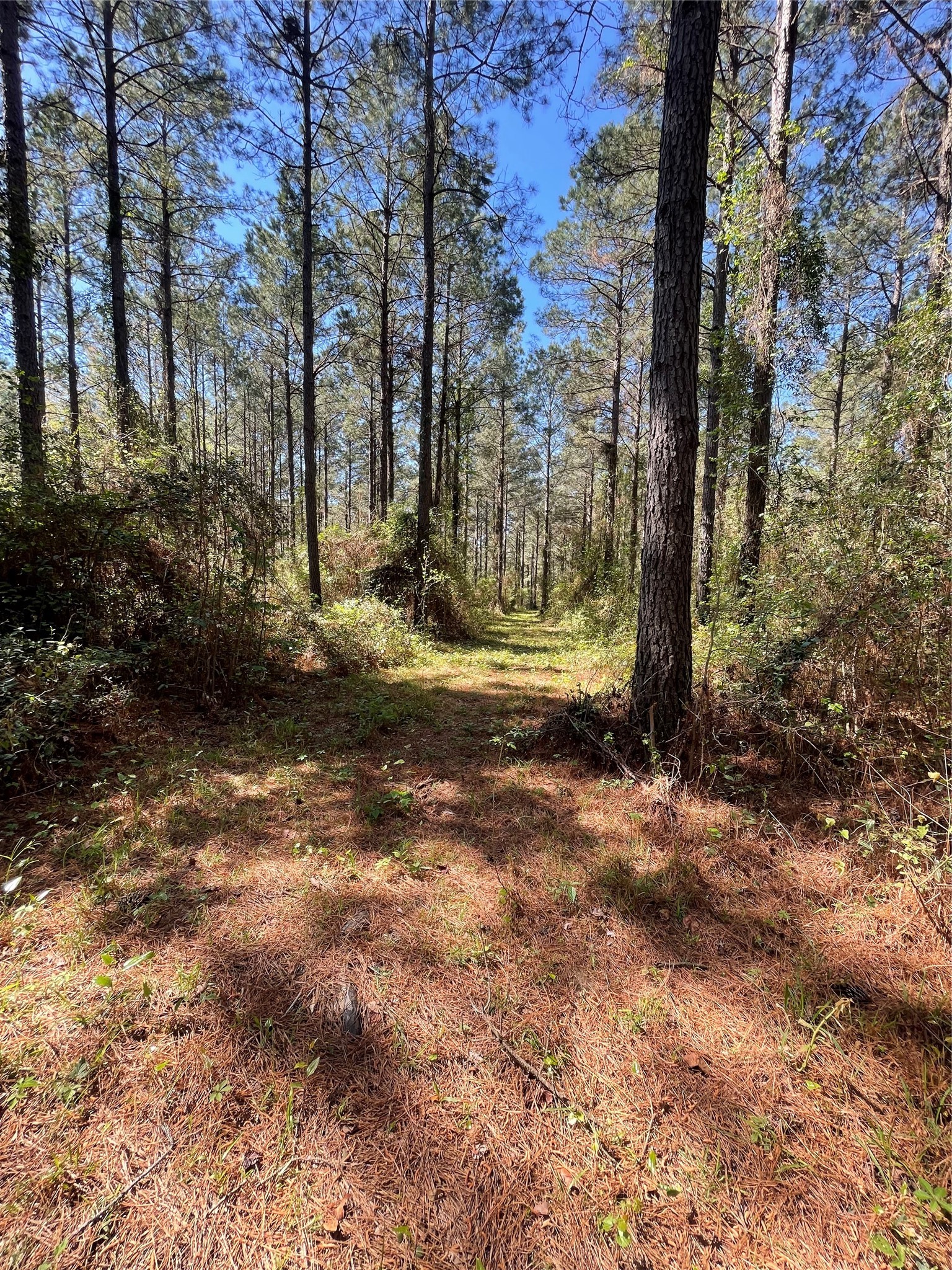 0 Providence Private Lane Frierson LA 71027