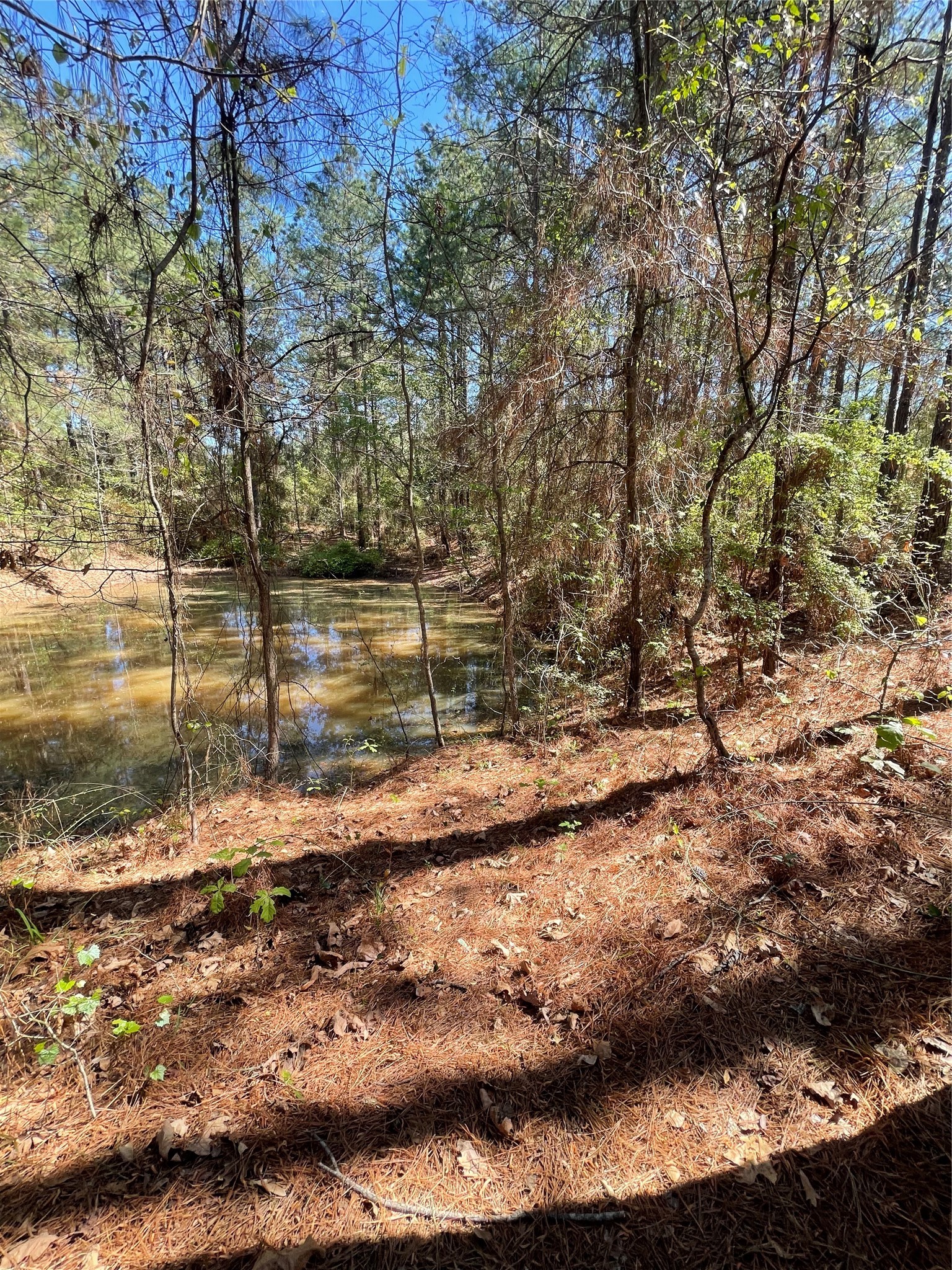 0 Providence Private Lane Frierson LA 71027