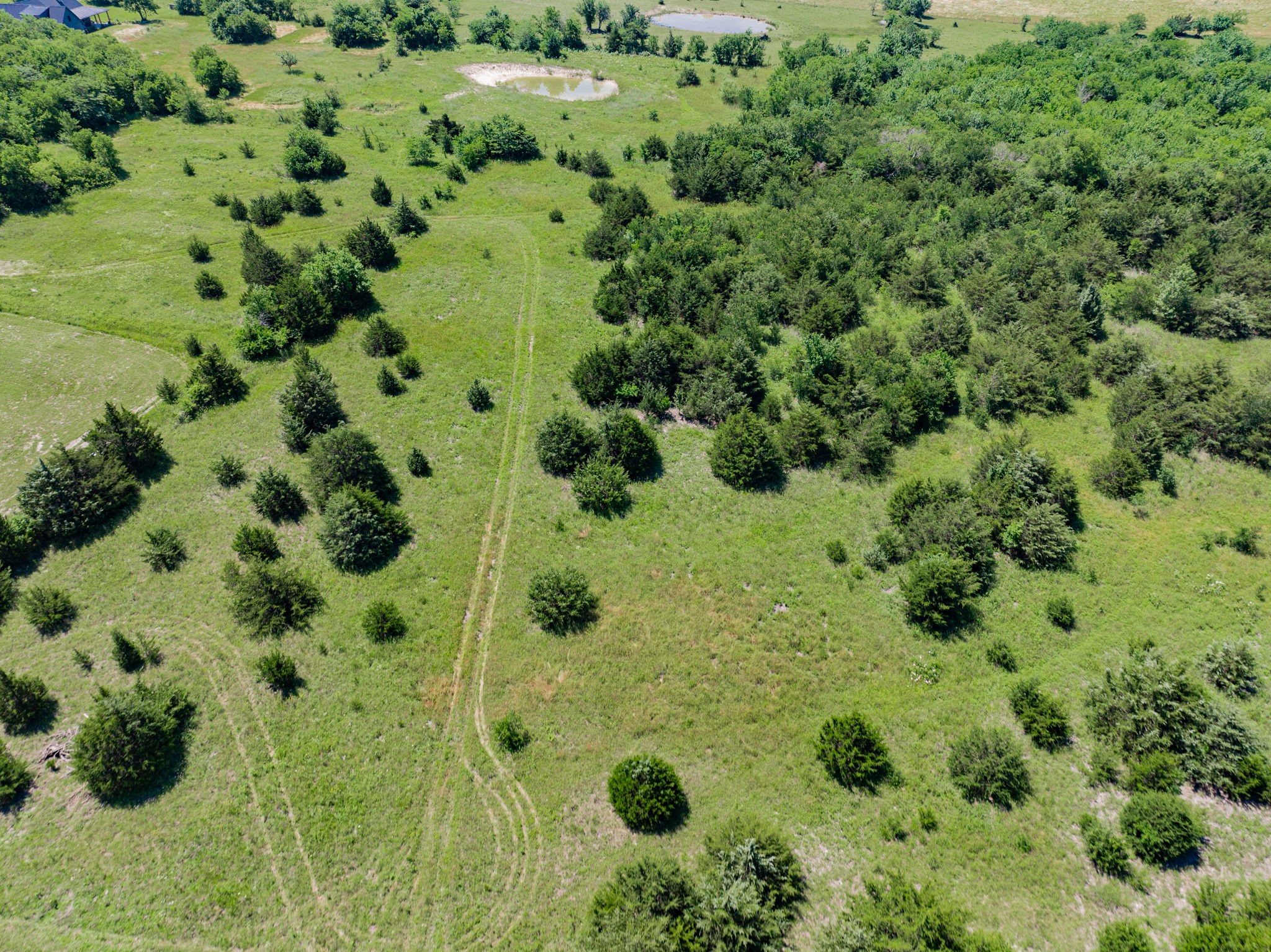 654 N Fm 36 Greenville TX 75401