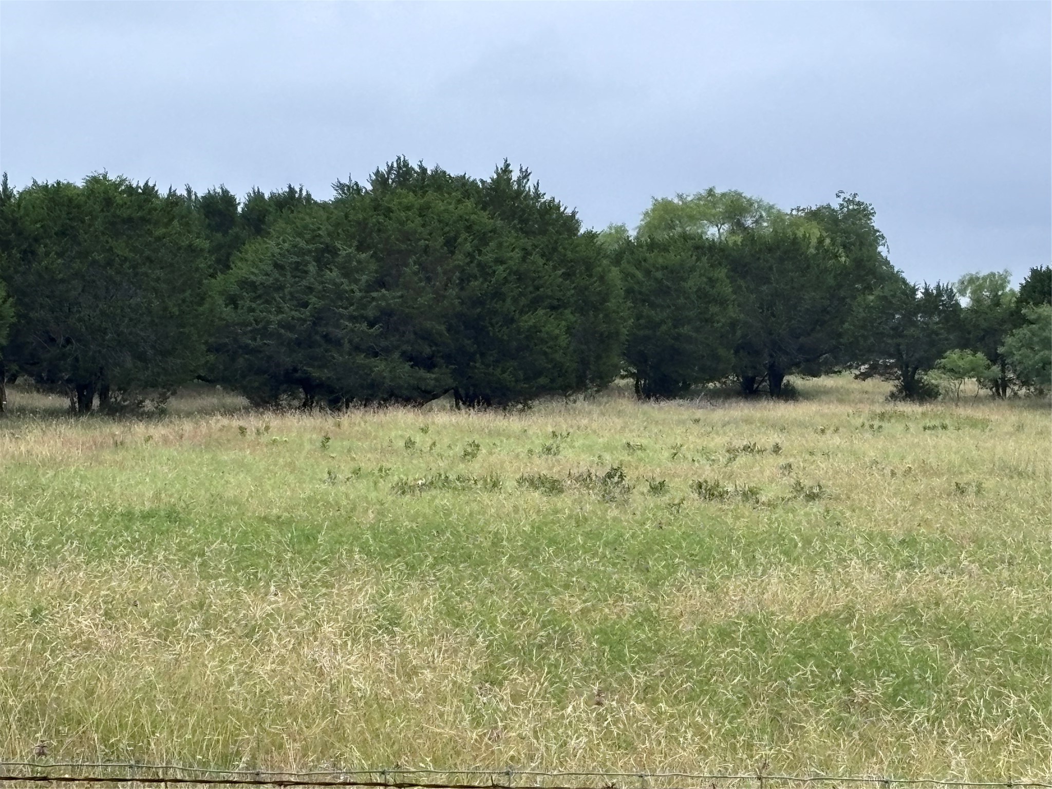 929 Cr 2357 Meridian TX 76665