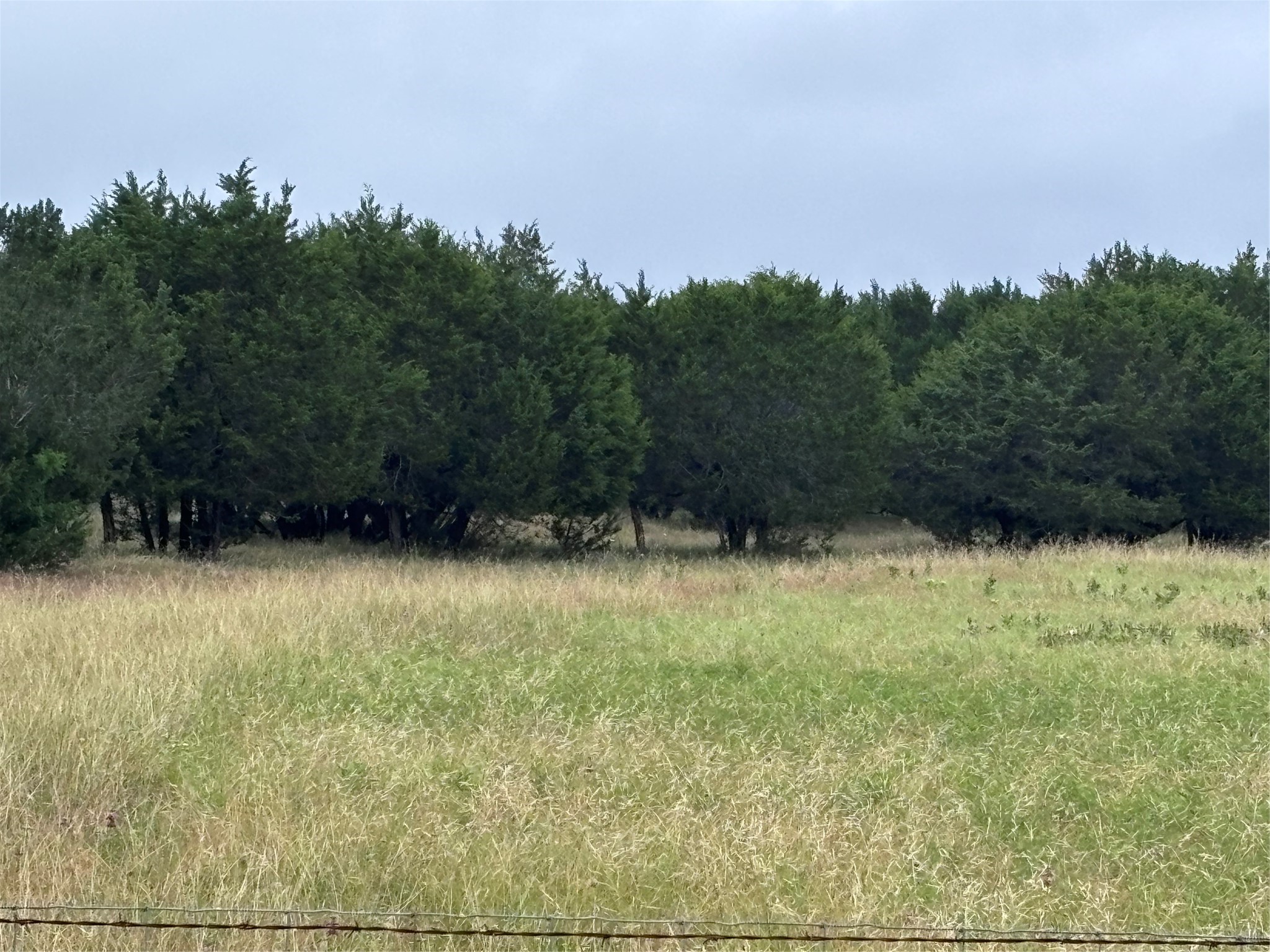 929 Cr 2357 Meridian TX 76665