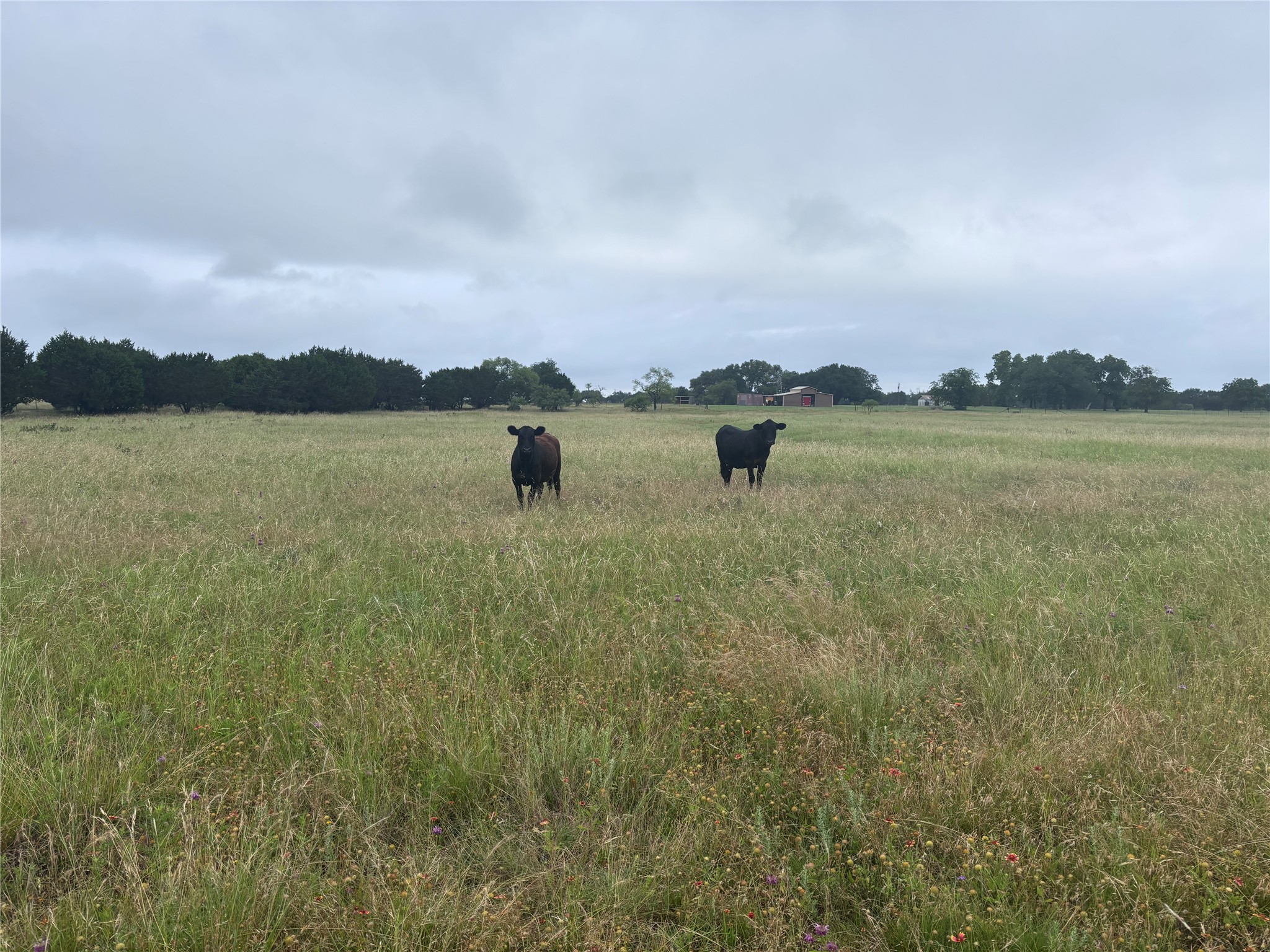 929 Cr 2357 Meridian TX 76665