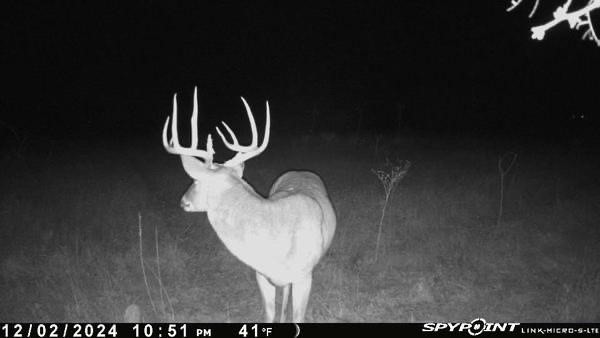 Tbd 1 Cr 343 Road Dublin TX 76446
