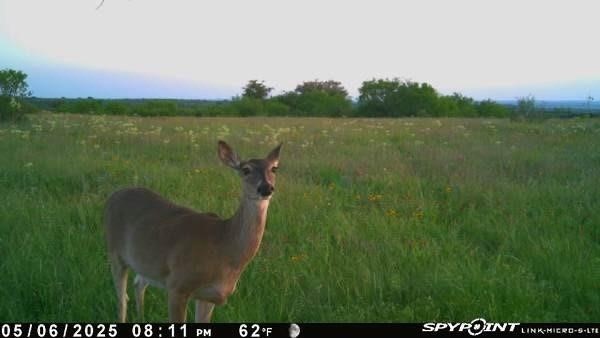 Tbd 1 Cr 343 Road Dublin TX 76446