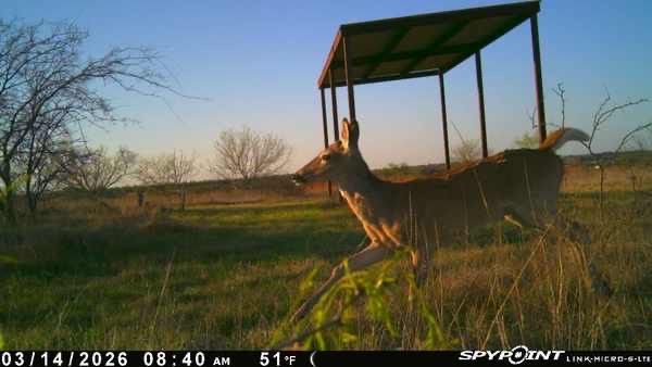 Tbd 1 Cr 343 Road Dublin TX 76446