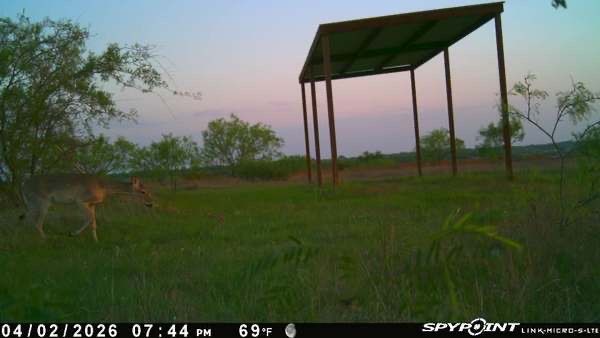 Tbd 1 Cr 343 Road Dublin TX 76446