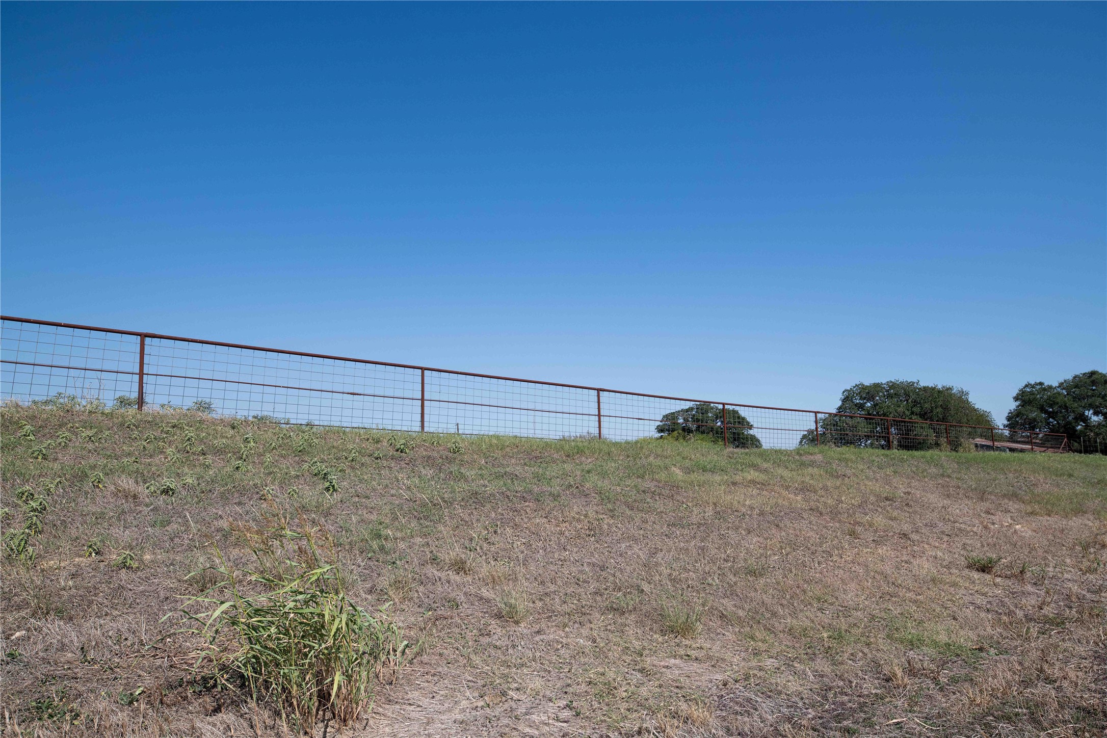 50+/- Acres E 380 Highway Decatur TX 76234