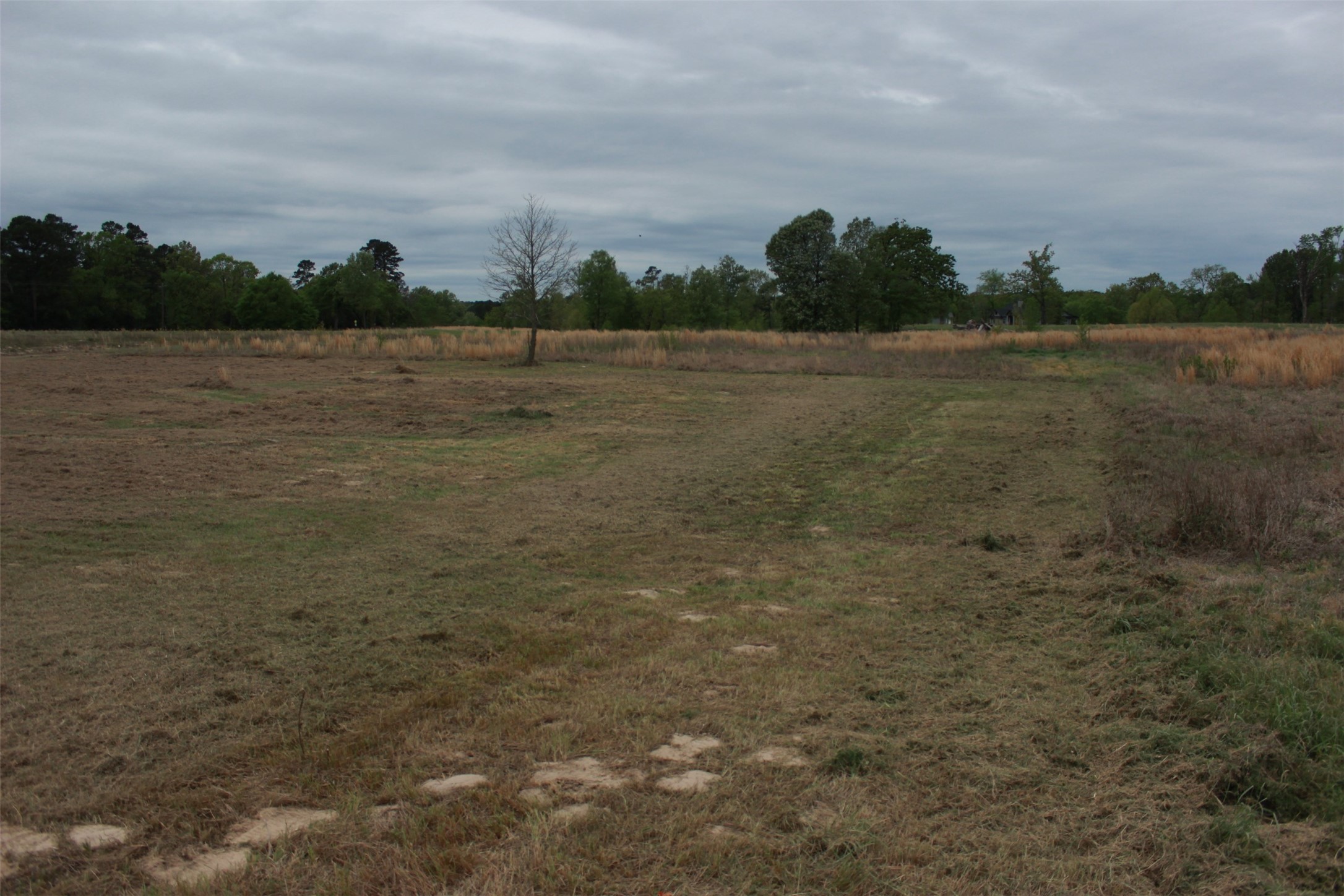 Tbd Sunrise Bend Pittsburg TX 75686