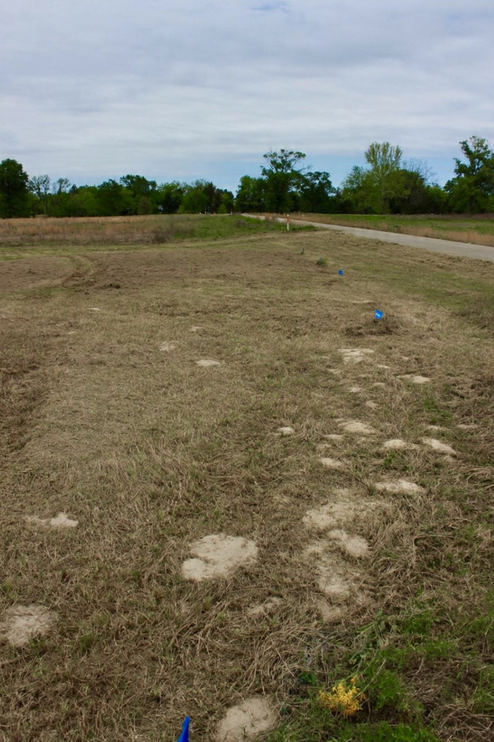 Tbd Sunrise Bend Pittsburg TX 75686
