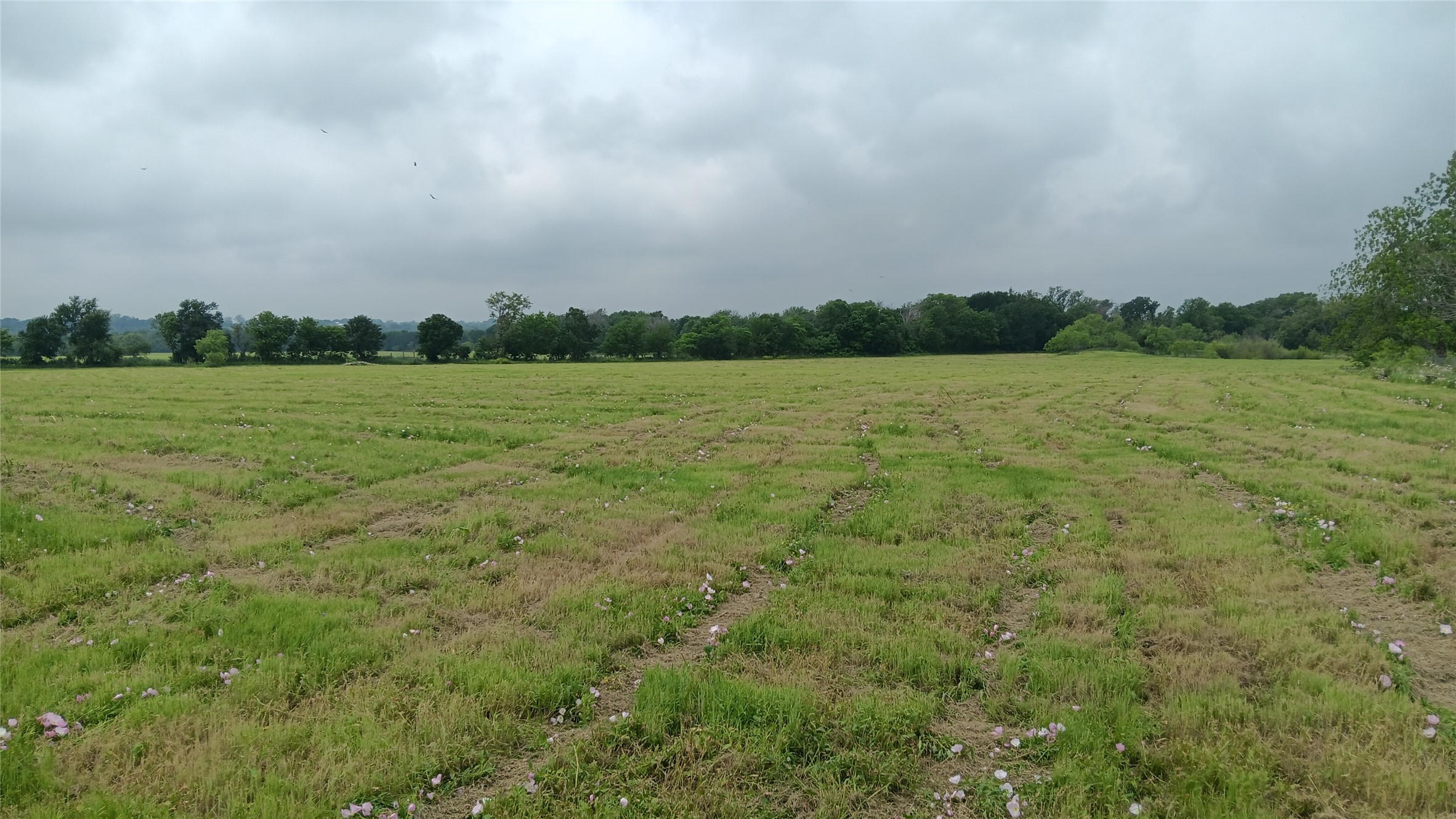 Tbd Highway 7 Chilton TX 76632
