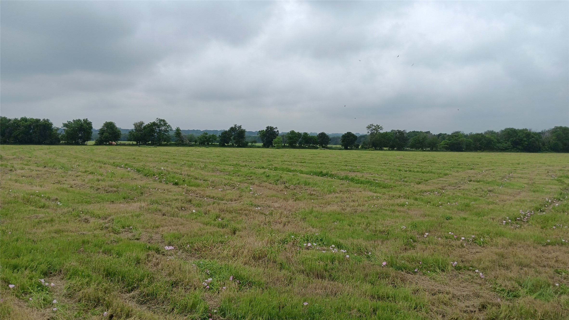 Tbd Highway 7 Chilton TX 76632