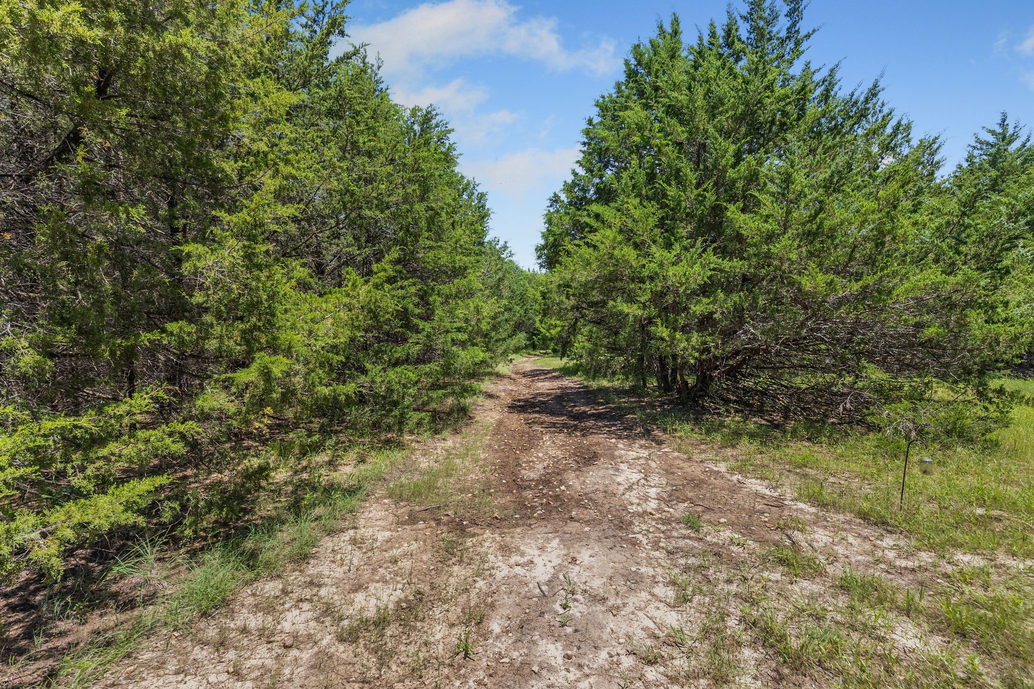 3670 Fm 2475 Wills Point TX 75169