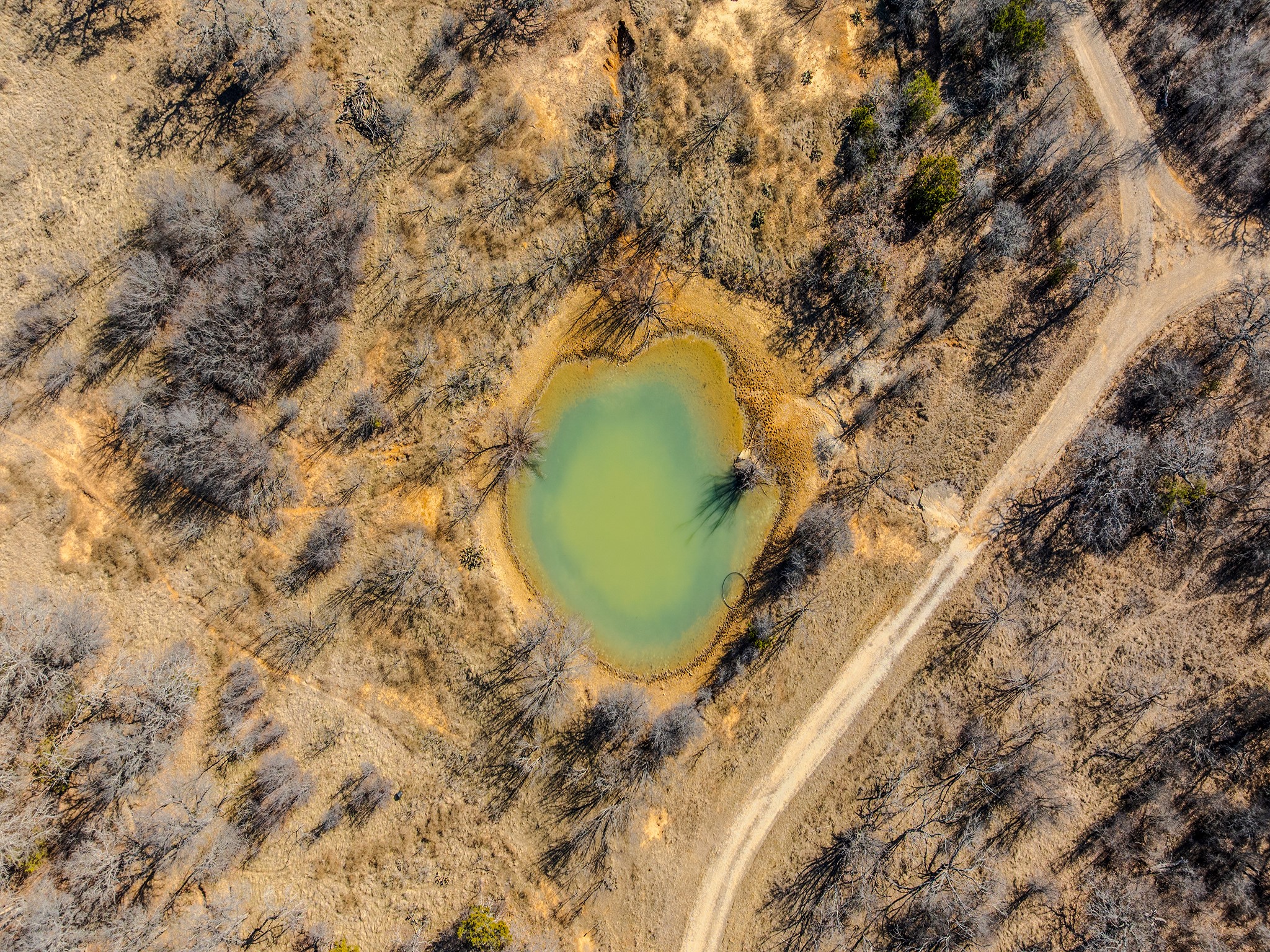Tbd Cement Mountain Road Bryson TX 76427