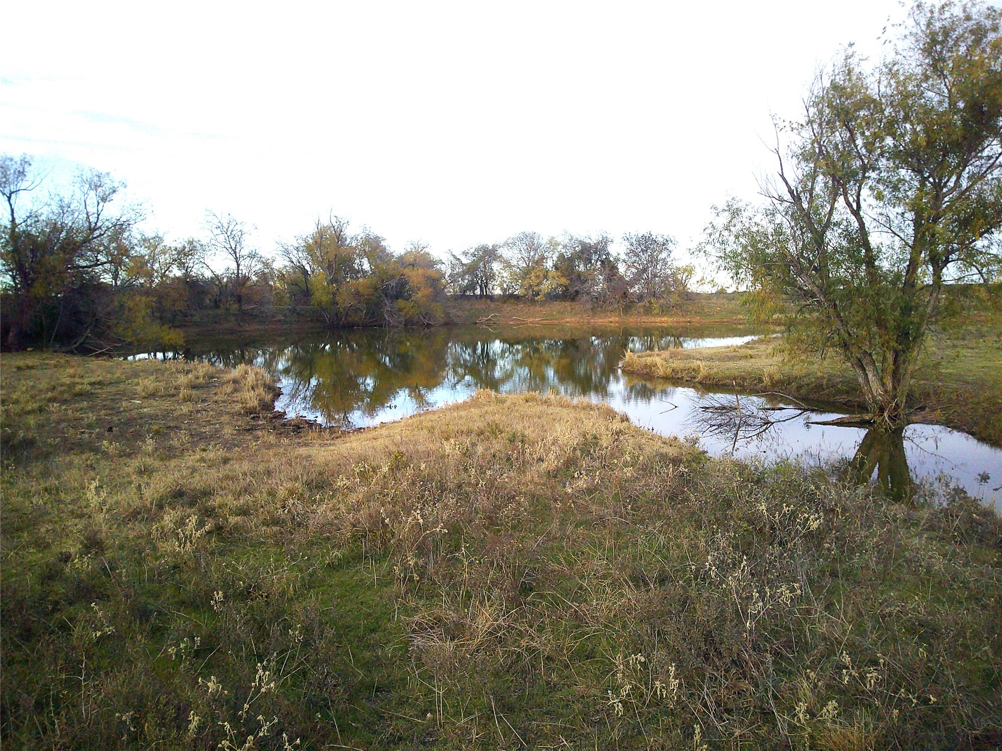 63 Ac. Fm 2210 Bridgeport TX 76426
