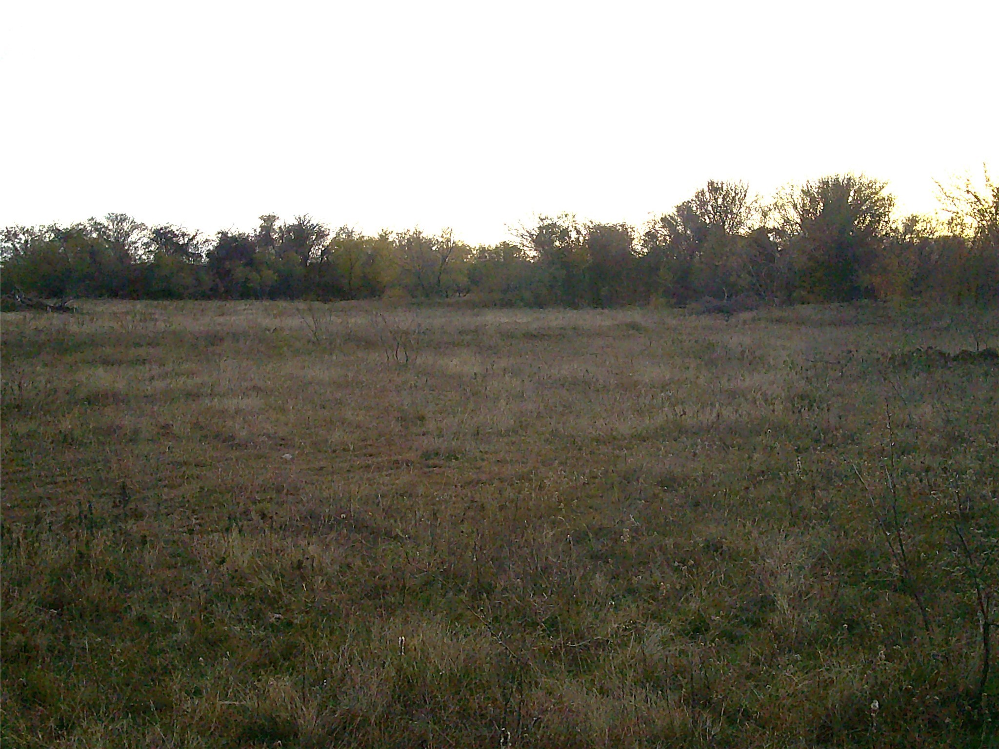 63 Ac. Fm 2210 Bridgeport TX 76426