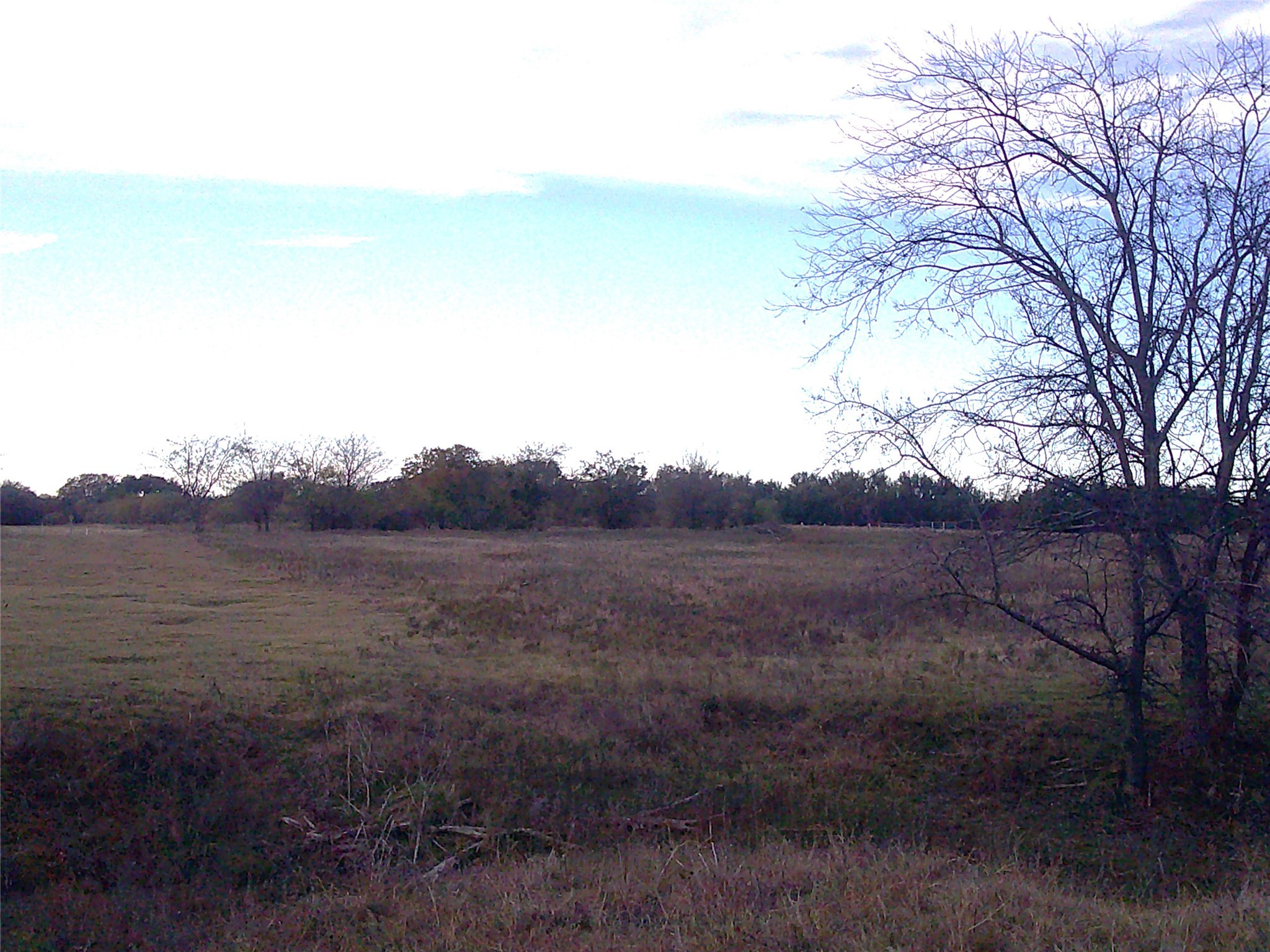 63 Ac. Fm 2210 Bridgeport TX 76426